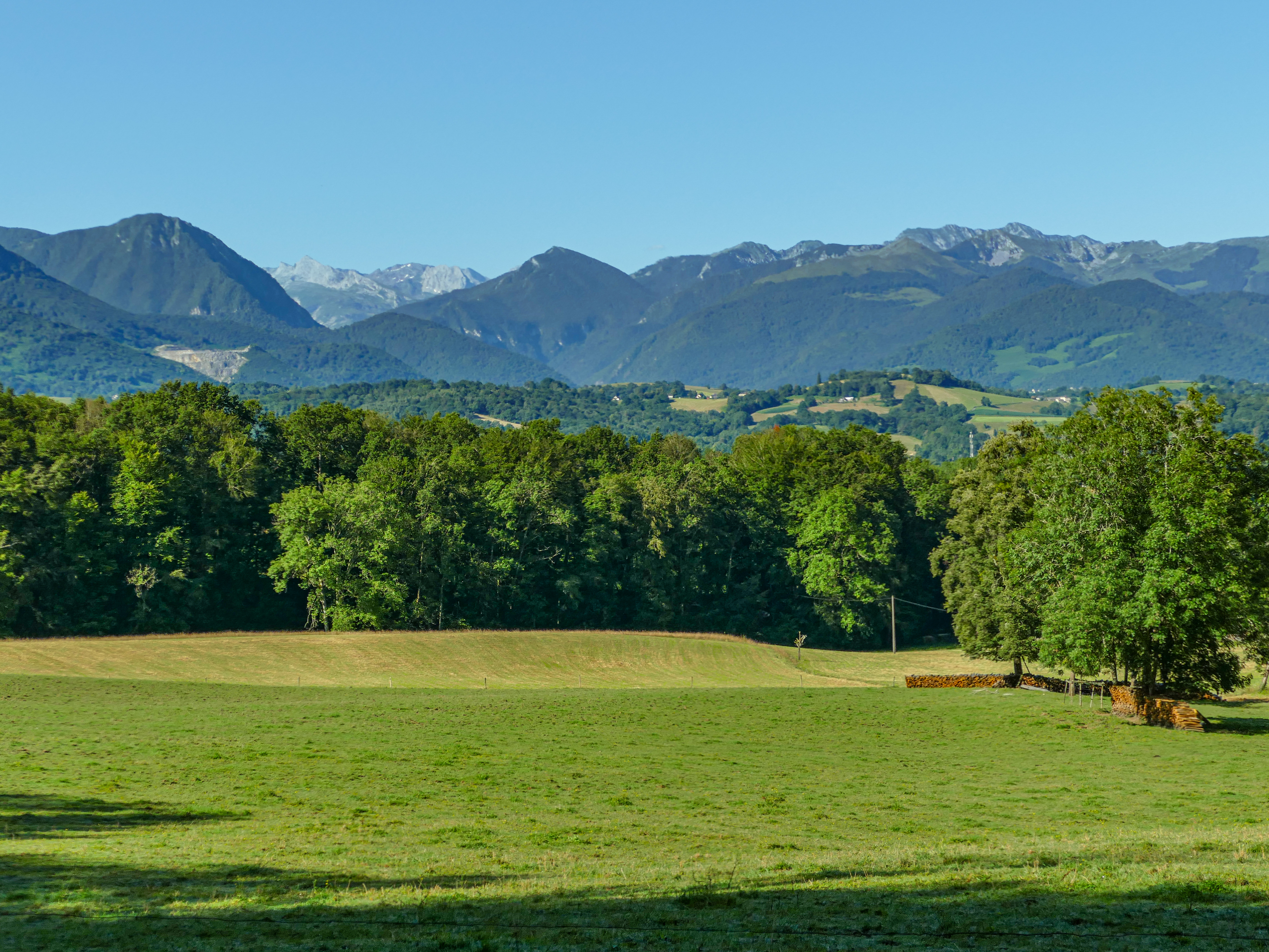 Bois de Coarraze, Coarraze - photo 8