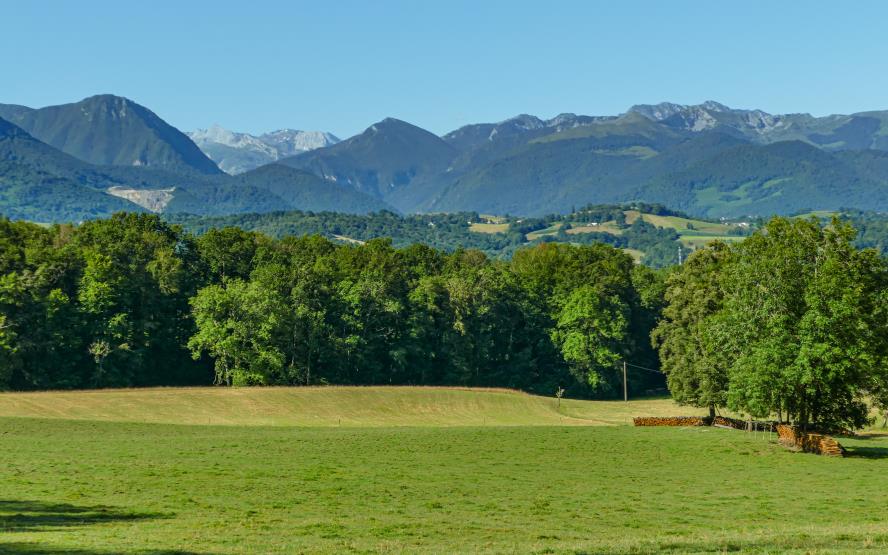 Image de présentation du lieu