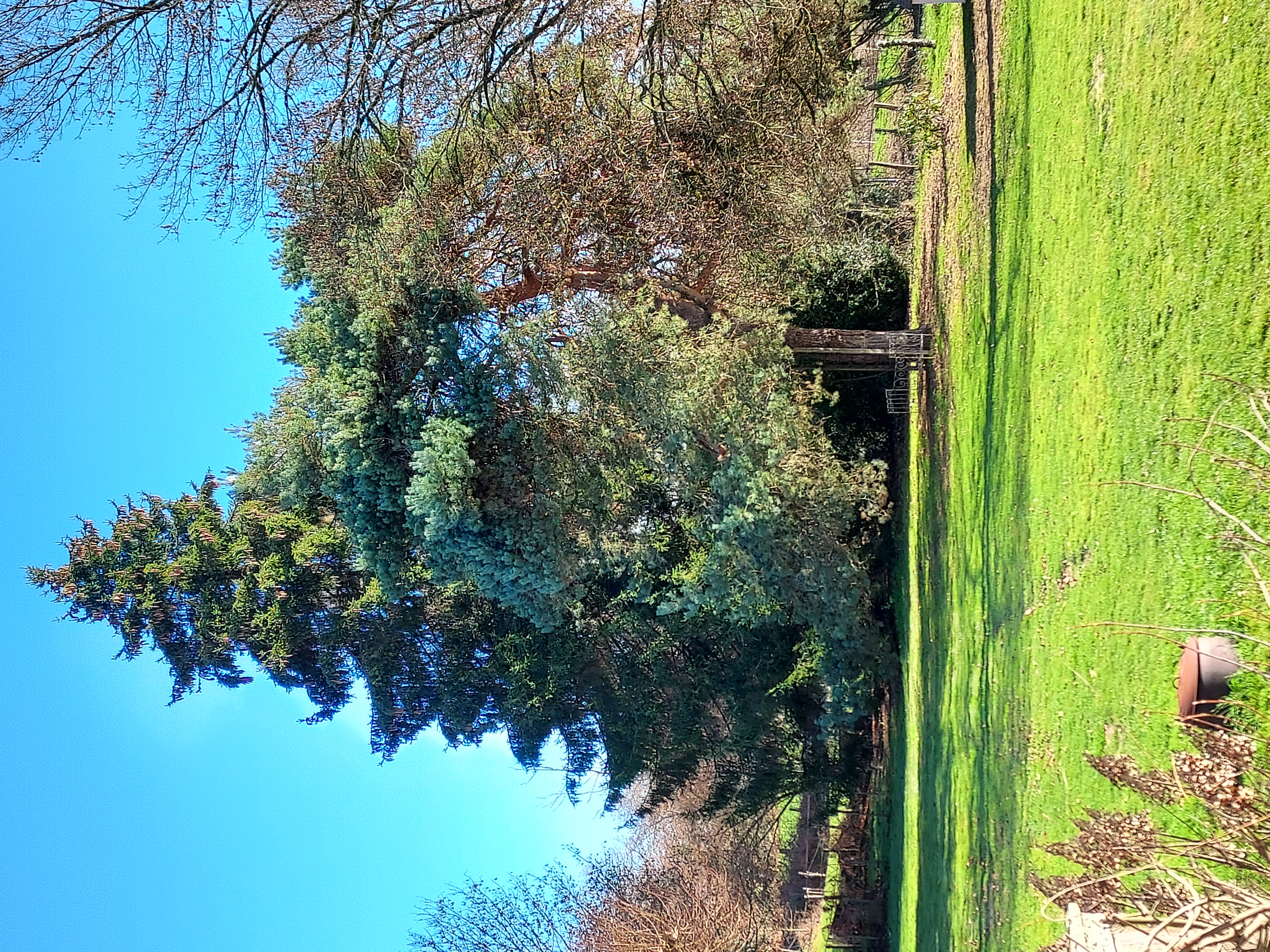 Chambre d'hôtes Espace Marguerite, Condat-sur-Ganaveix - photo 15