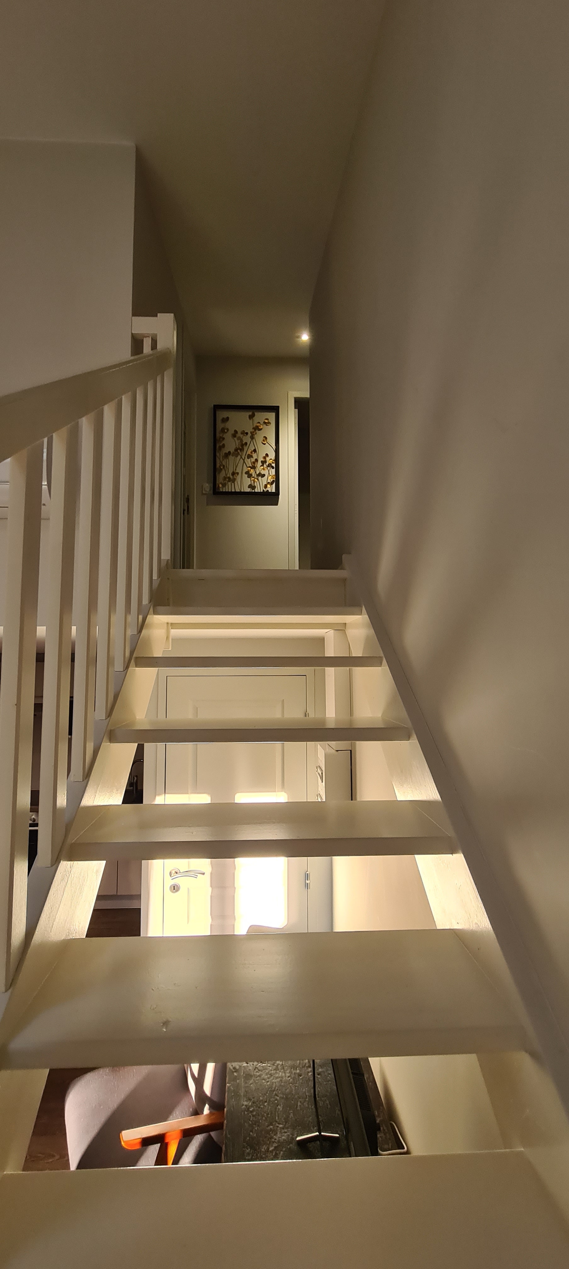 Domaine de la Gauderie - Gîte Morgan, Sanilhac - photo 8