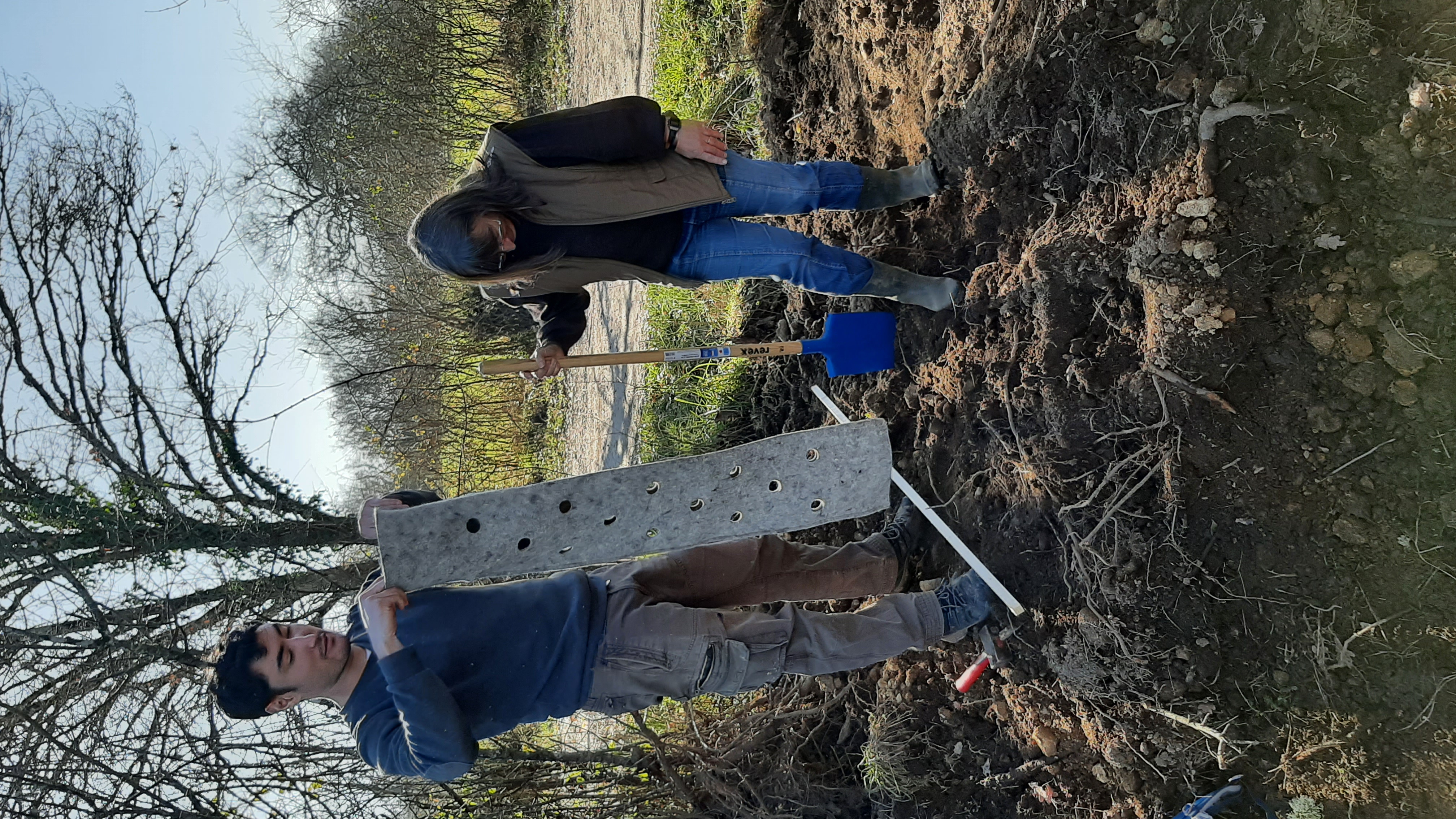 Chantier participatif plantation de haies