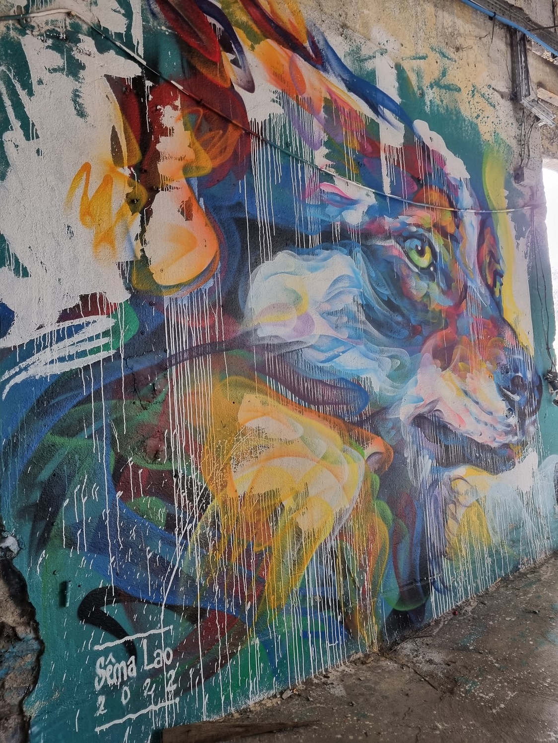 La Graffeterie, Uzerche - photo 4