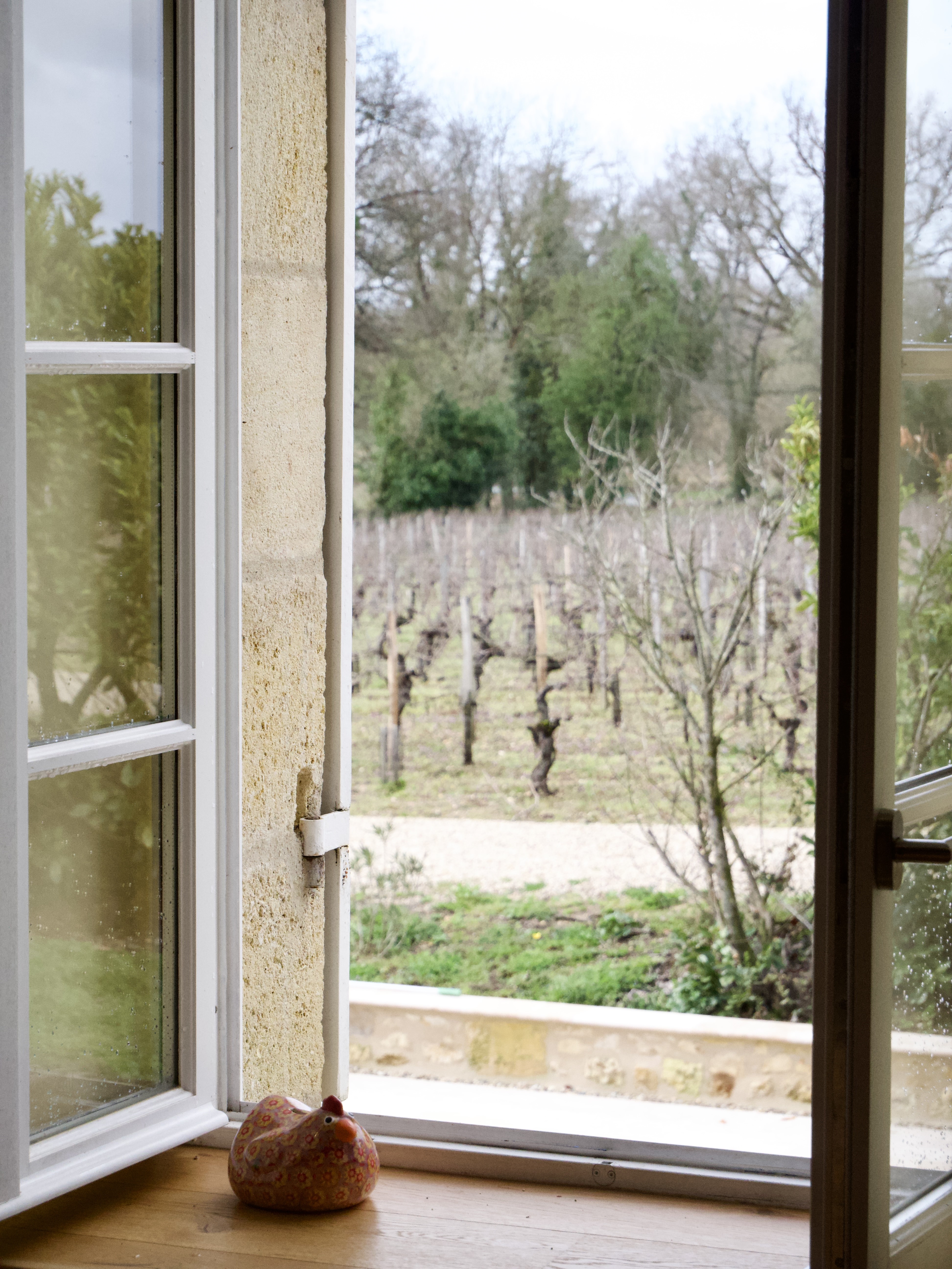 Château de Lescours - Gîte des Vignerons, Saint-Sulpice-de-Faleyrens - photo 2