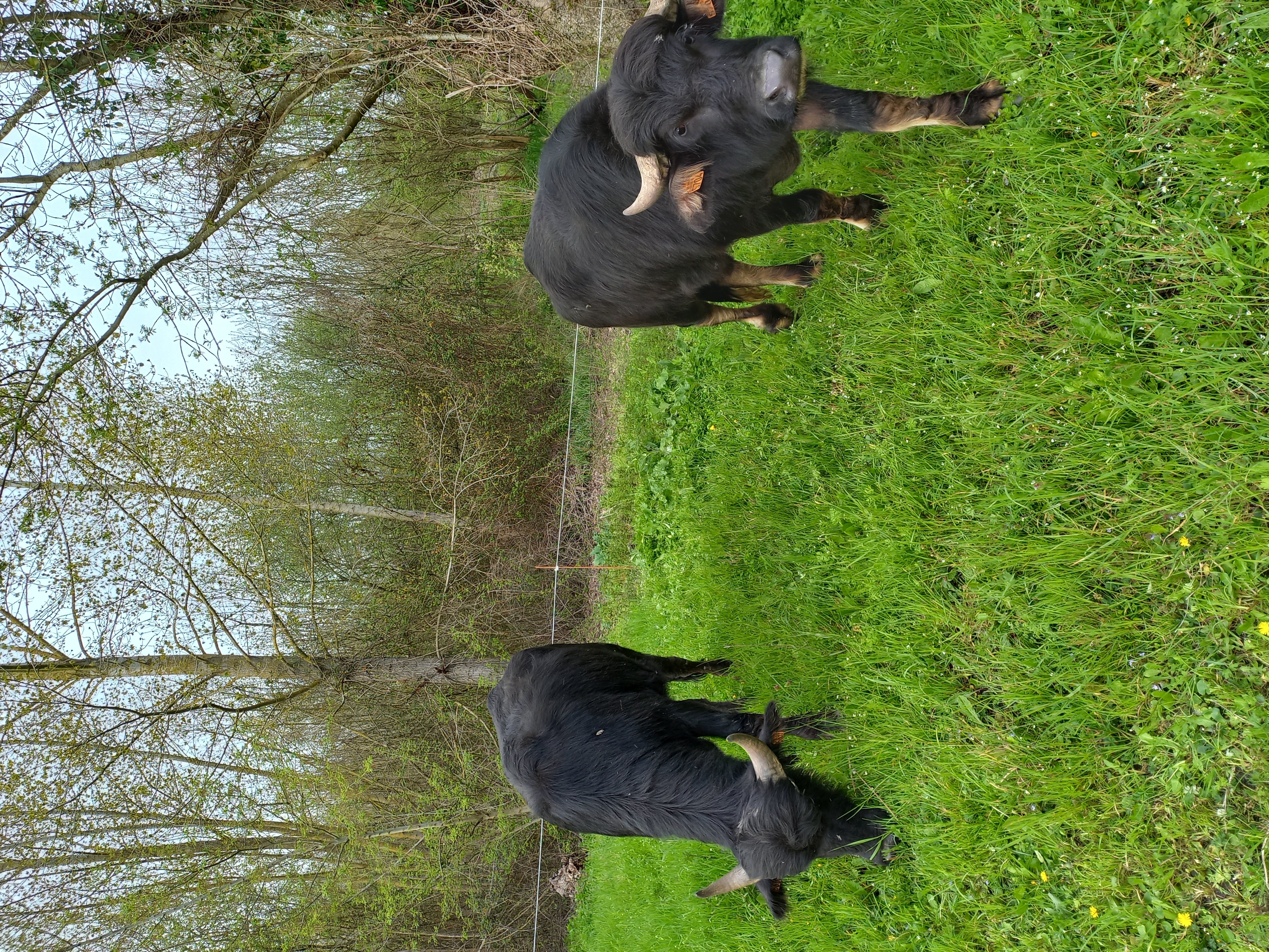 Miellerie des Bourdettes - photo 2