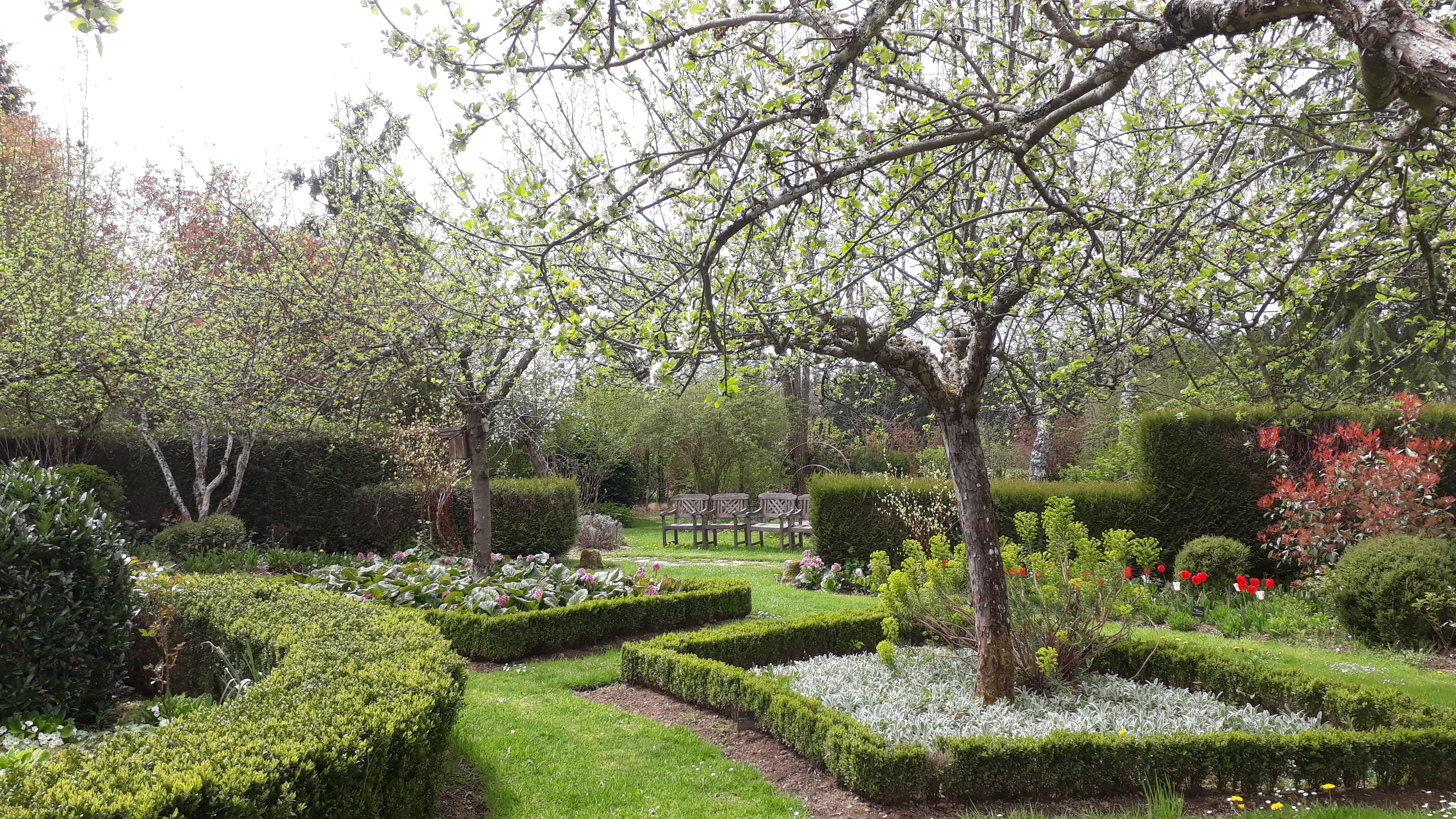 Le Jardin d'Arsac, Saint-Fréjoux - photo 4