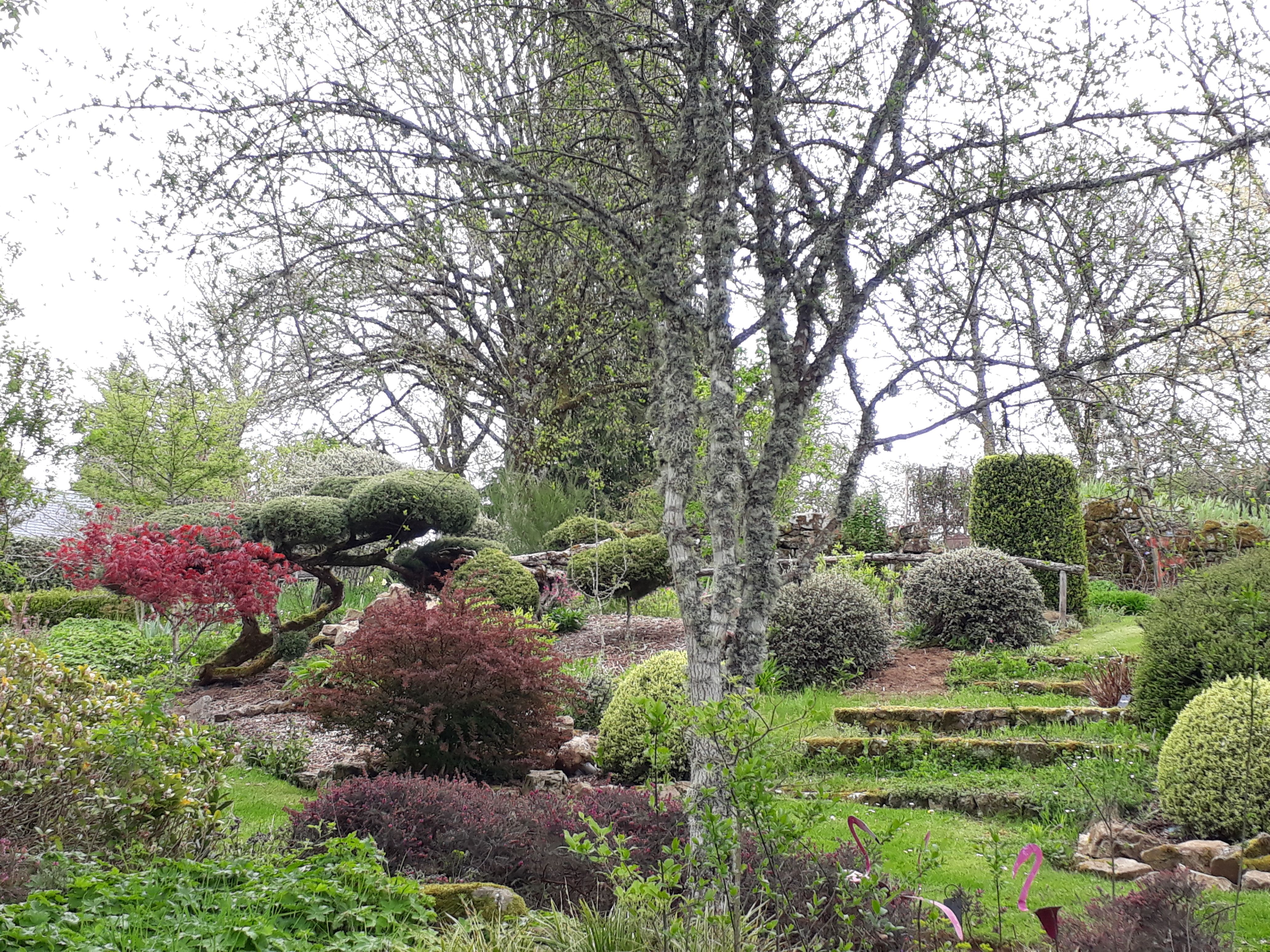 Le Jardin d'Arsac, Saint-Fréjoux - photo 13