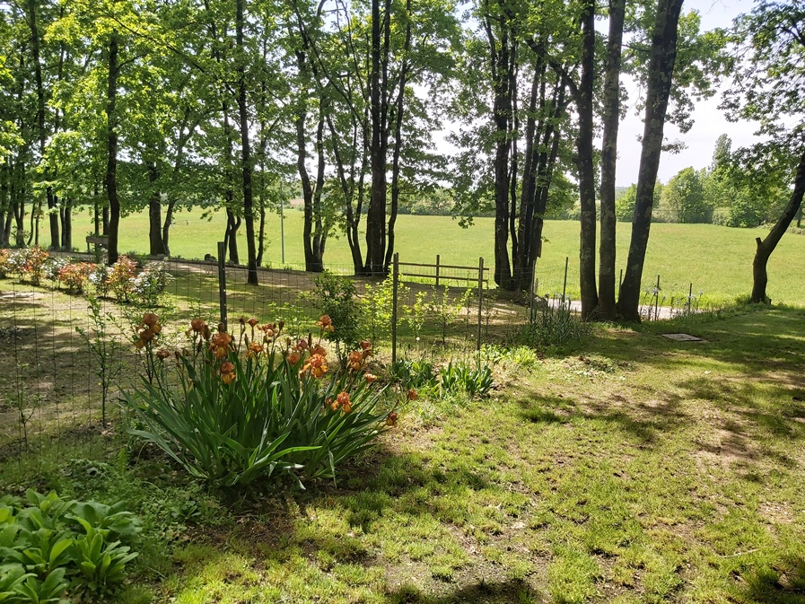 Le Gîte du Pic Vert, Saint-Pierre-d'Eyraud - photo 4