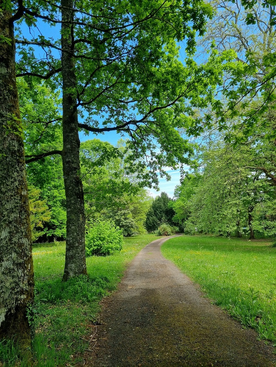 Parc du château du Verdier, Lubersac
