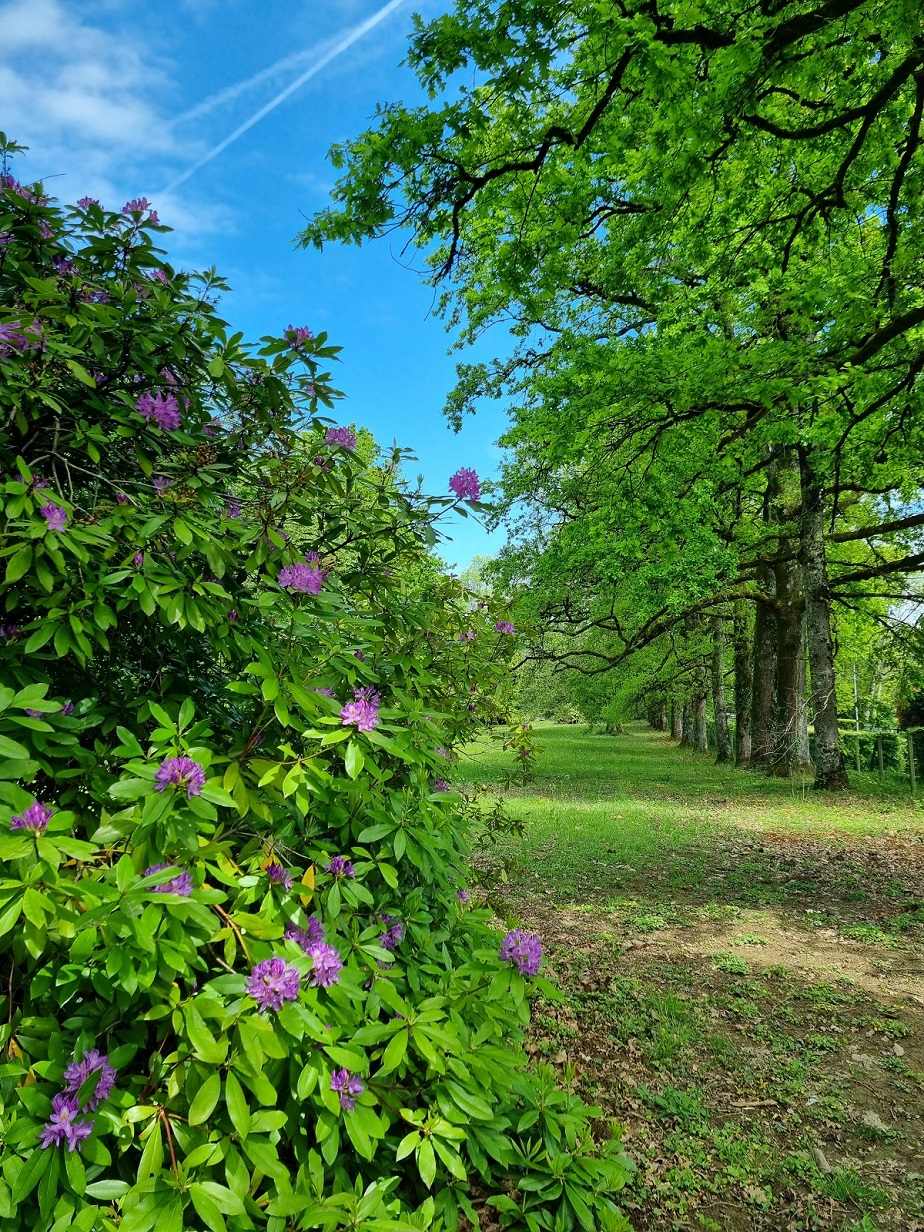 Parc du château du Verdier, Lubersac - photo 3