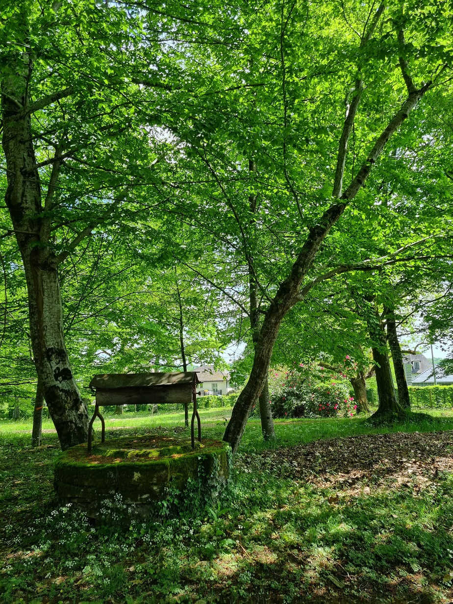 Parc du château du Verdier, Lubersac - photo 2