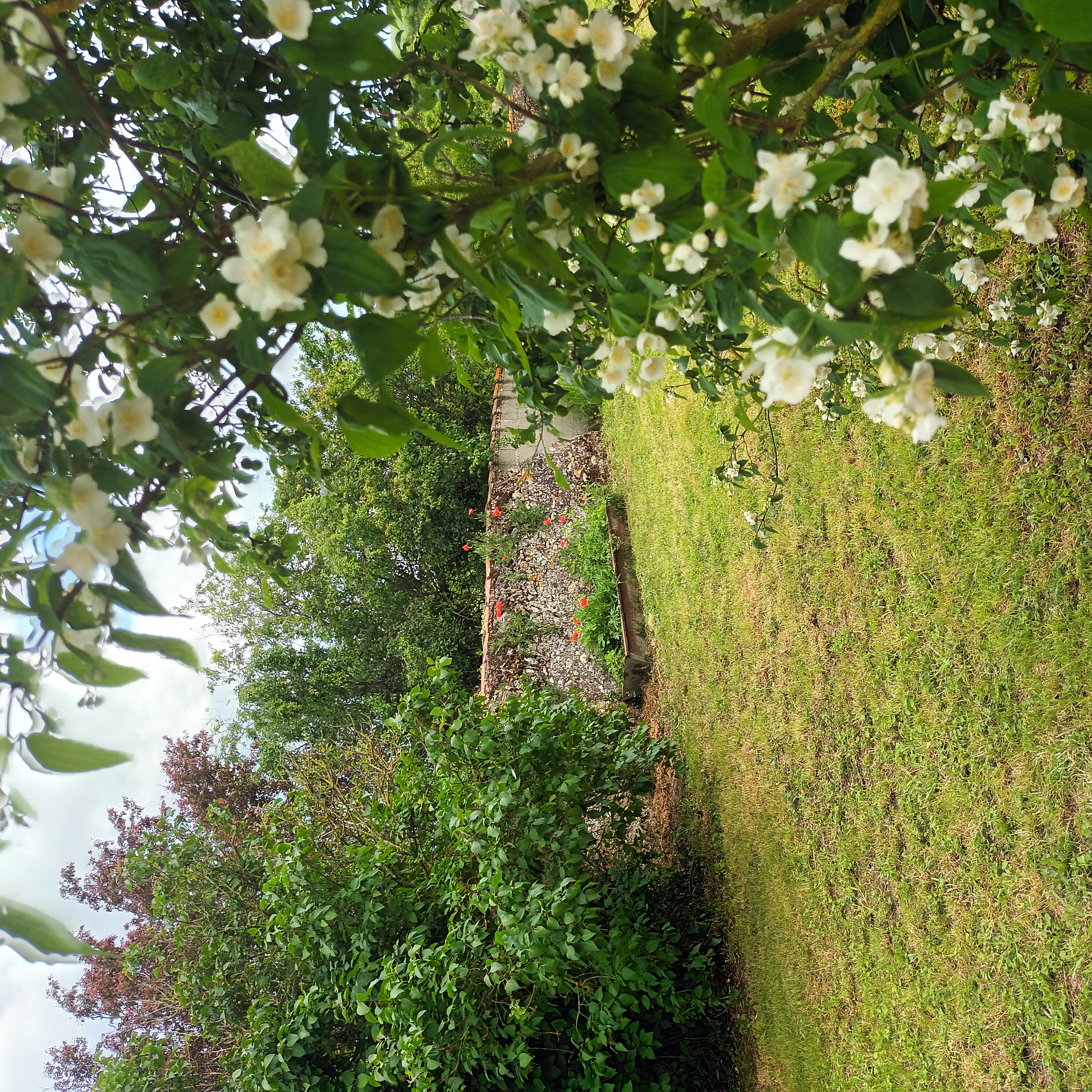 Gîte de la Roche Fume, Saint-Généroux - photo 17