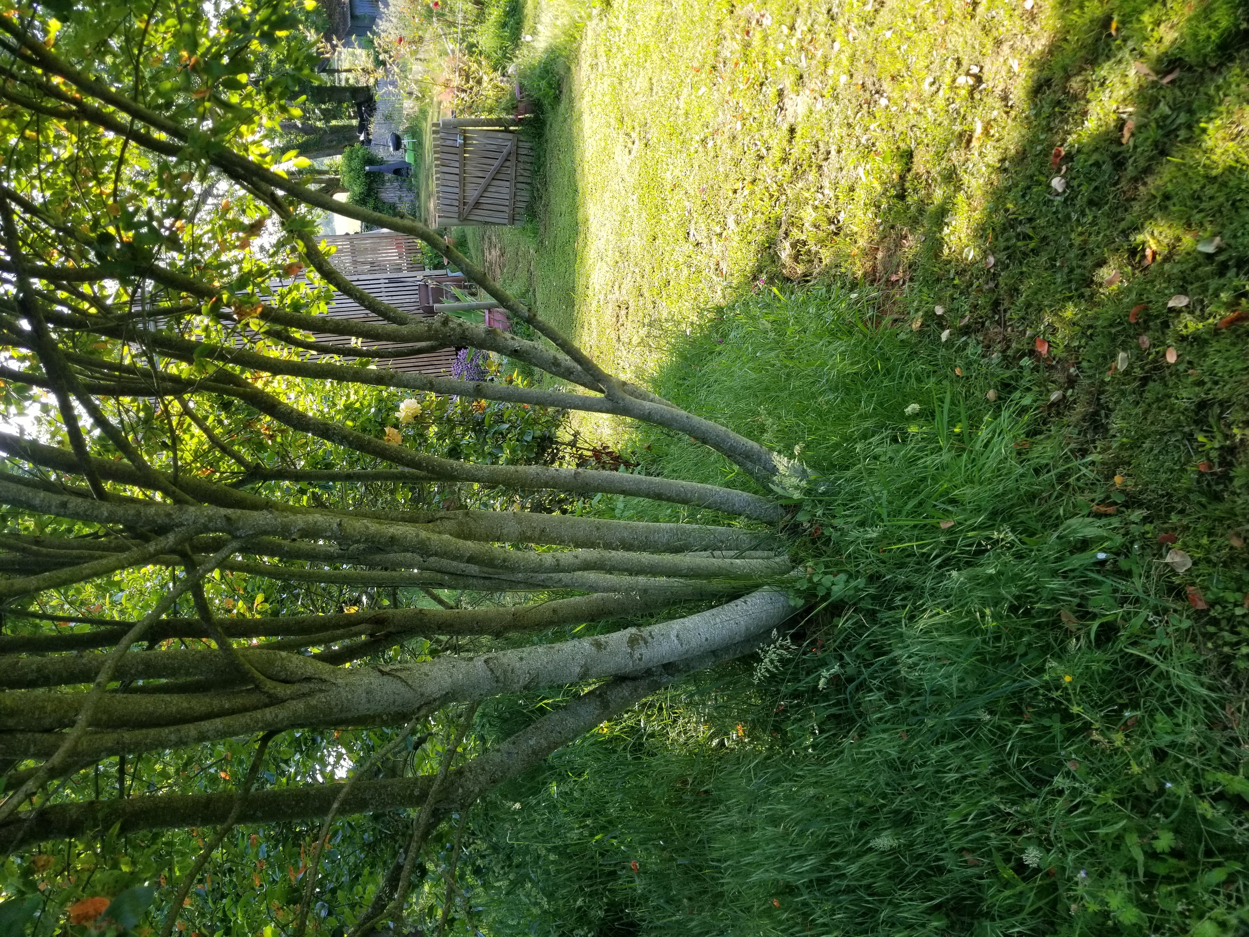 Le Petit Paradis, Saint-Julien-le-Petit - photo 4