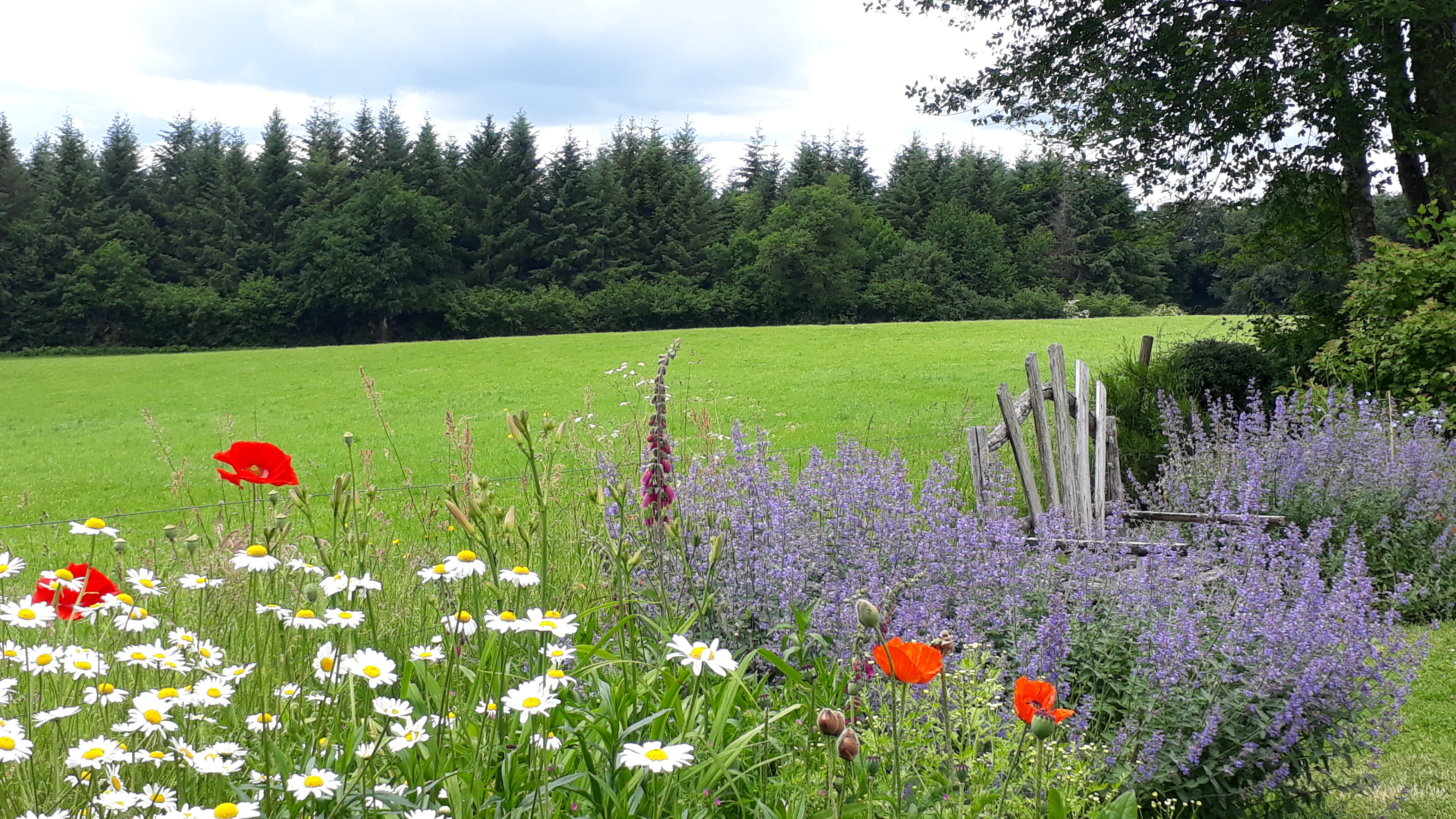 Colline d'Arsac, gîte, Saint-Fréjoux - photo 32