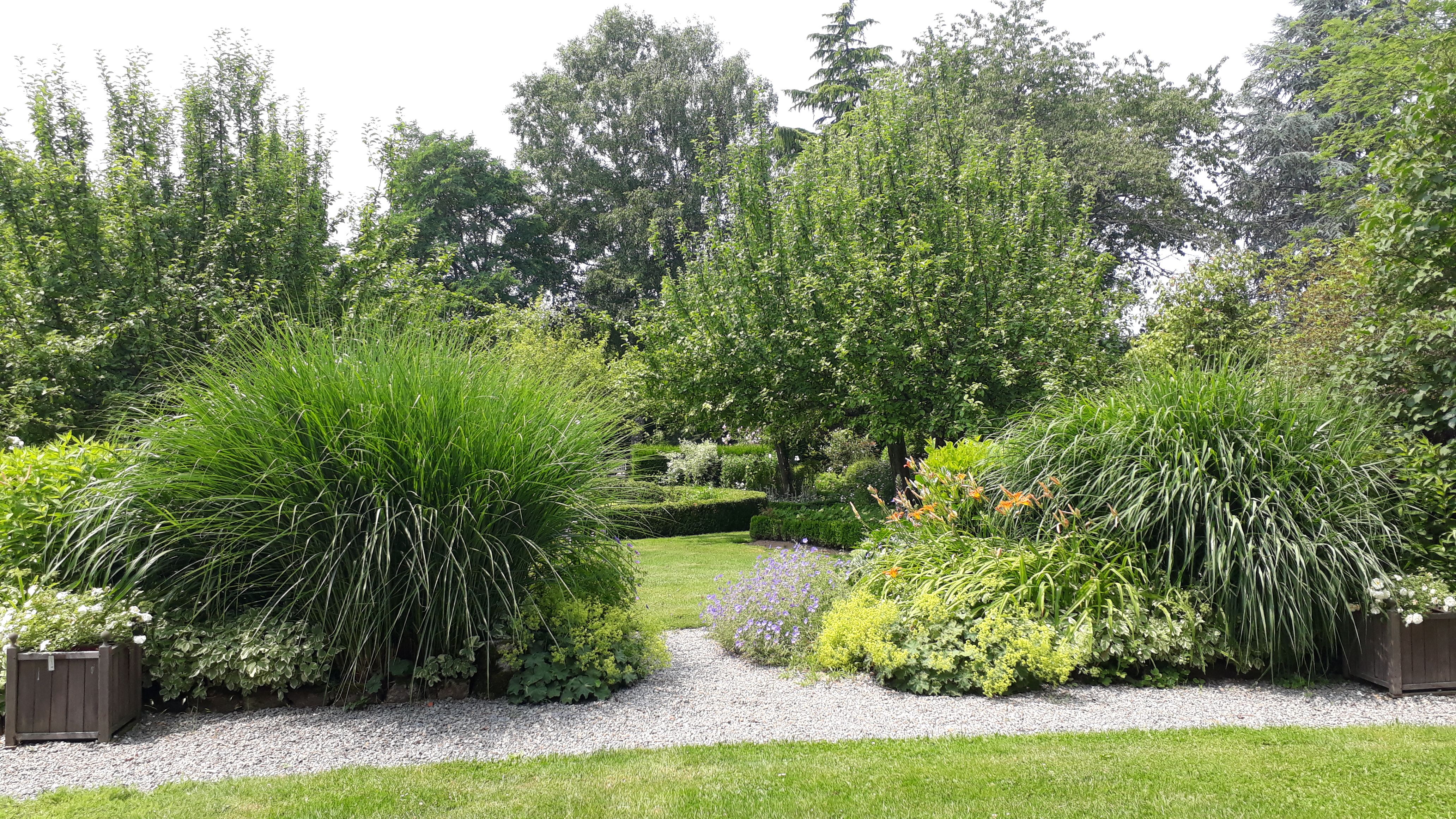 Colline d'Arsac, gîte - photo 4