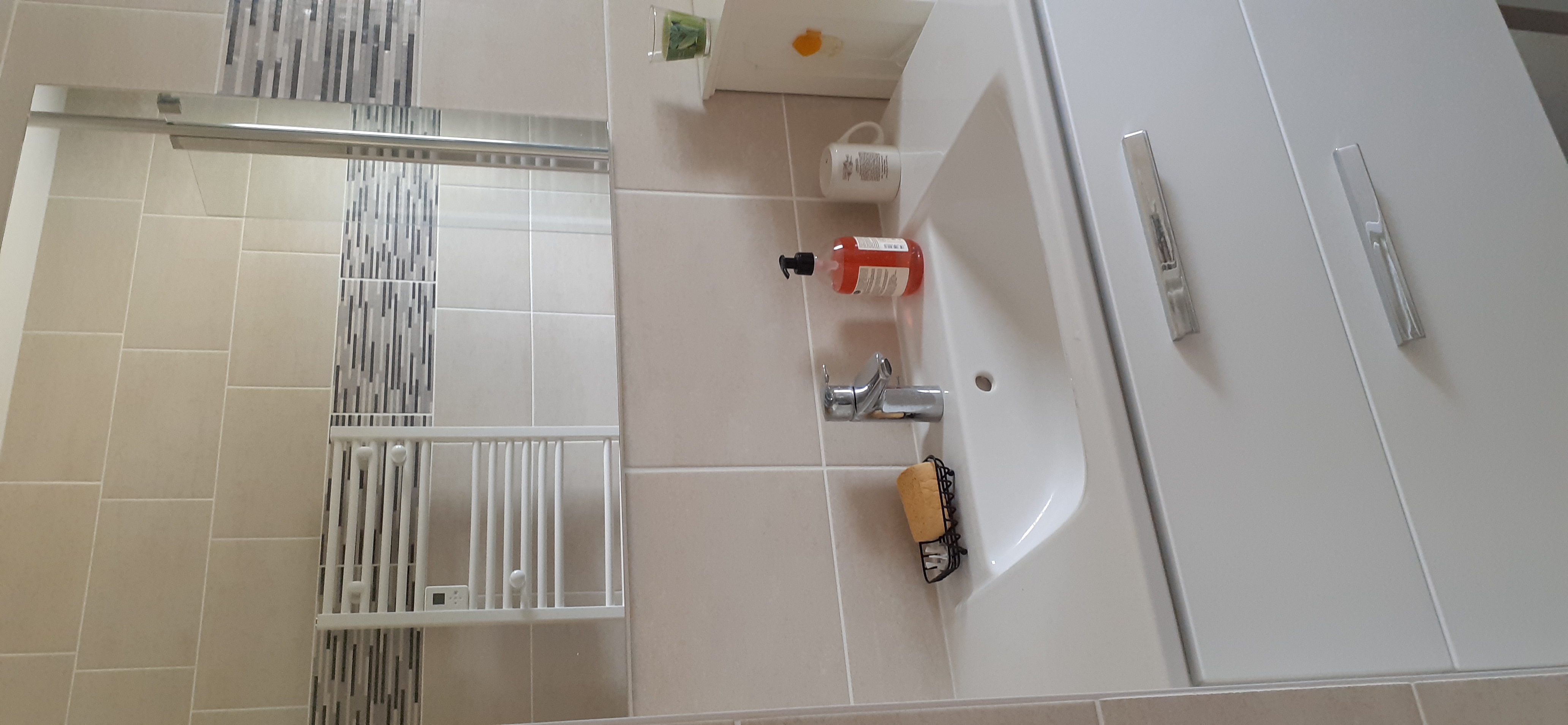 Les Crinières Flamboyantes