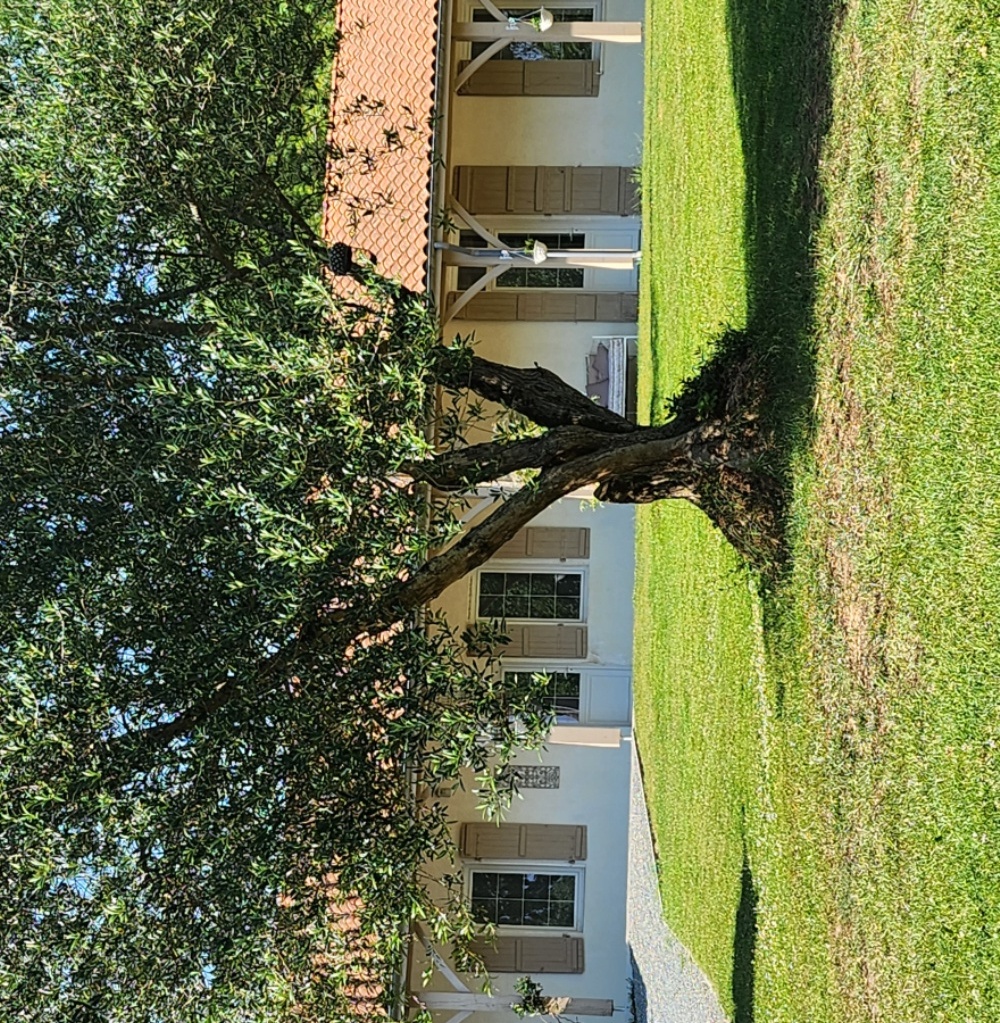 Gîte du Domaine de Dolly