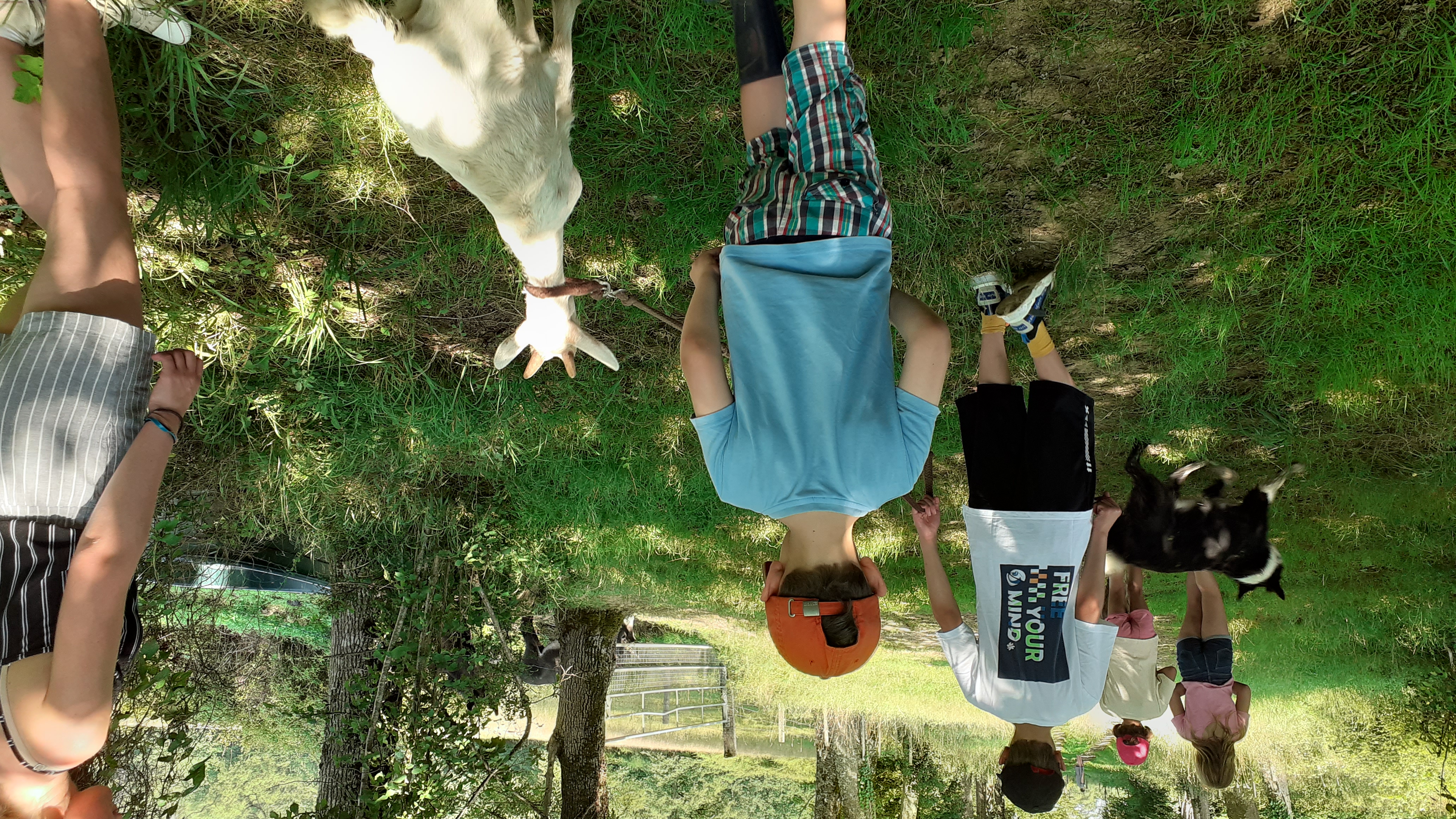 Les sabots de laine à Saint Hilaire Bonneval