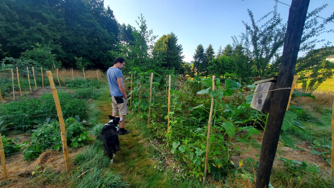 Devenir Autosuffisant : activités en permaculture