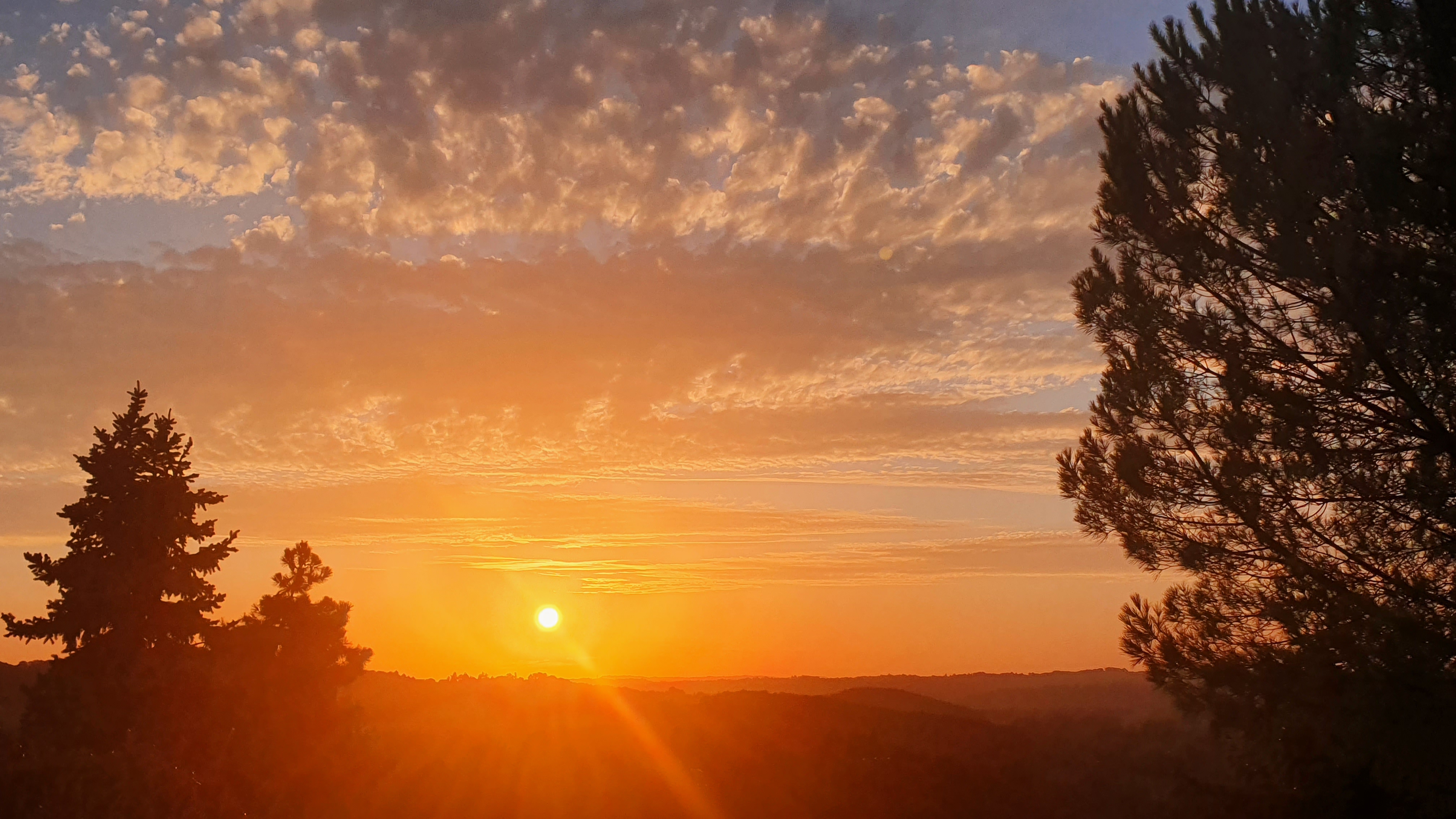 Studio Les Collines - Domaine de la Chapelle en Corrèze, La Chapelle-aux-Brocs - photo 10