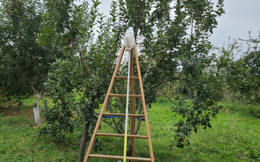 Image de présentation du lieu