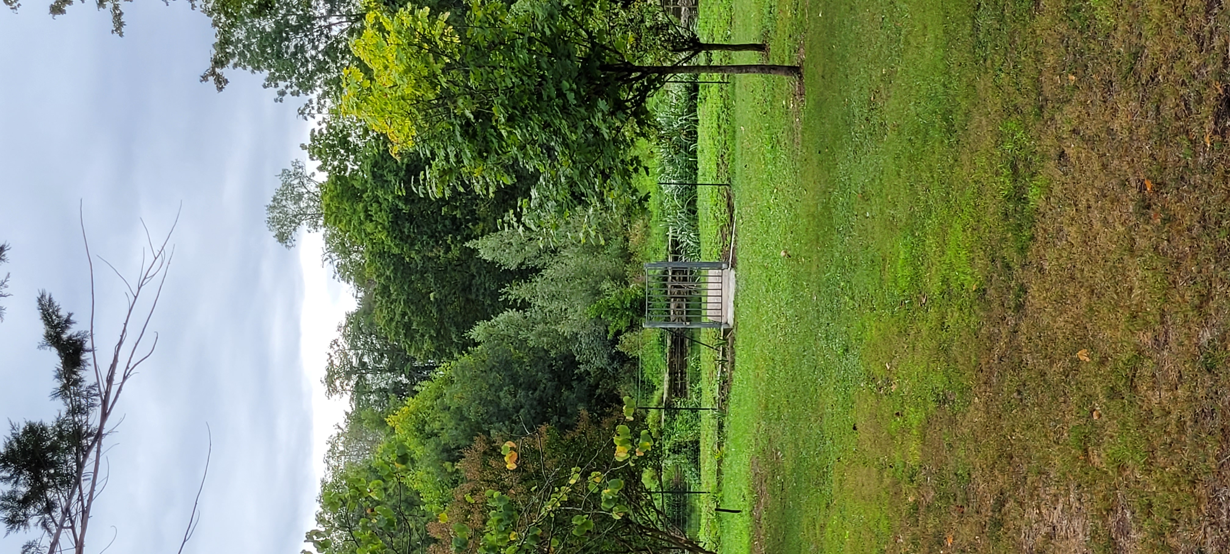 La Petite Maison du Pêcheur, Naintré - photo 3