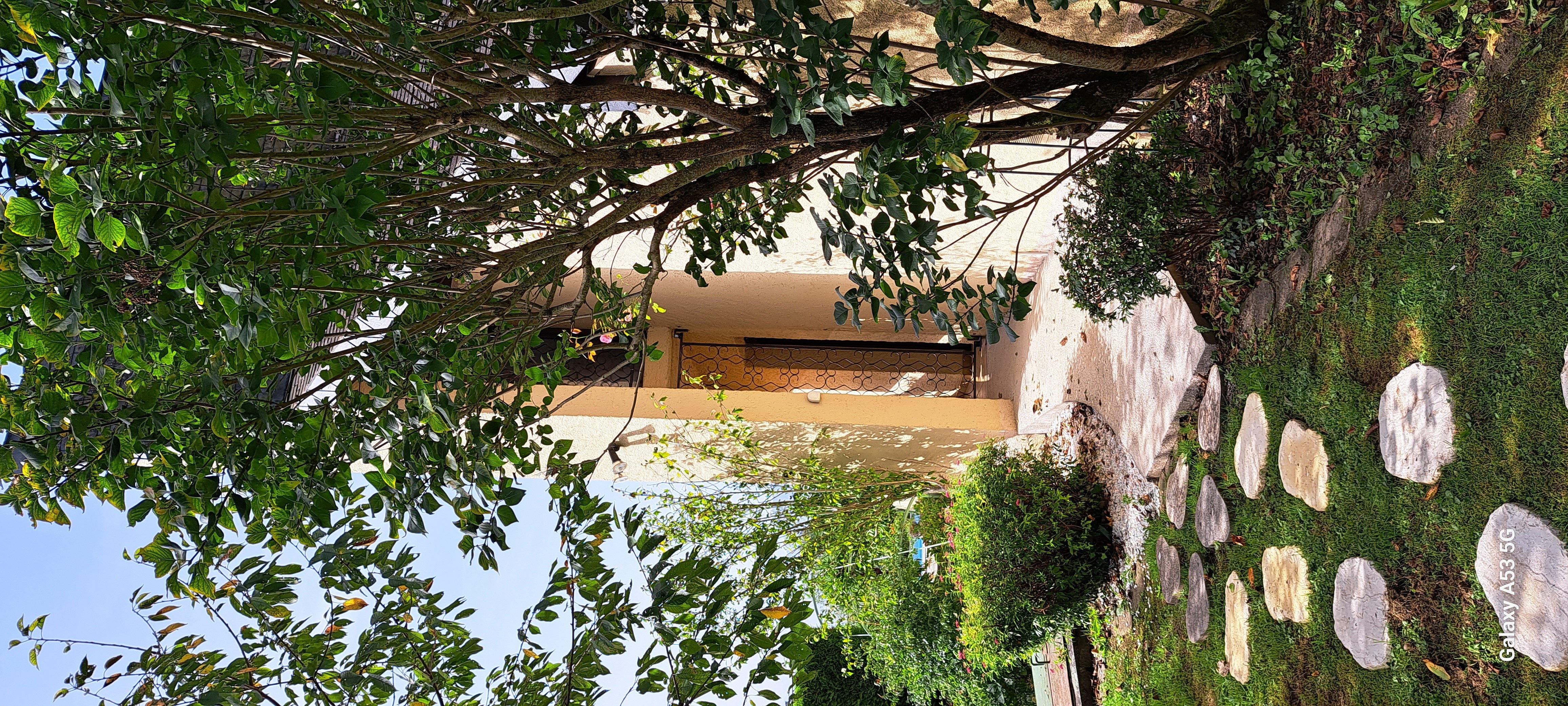 Jardin des Chats, Sévignacq-Meyracq - photo 9