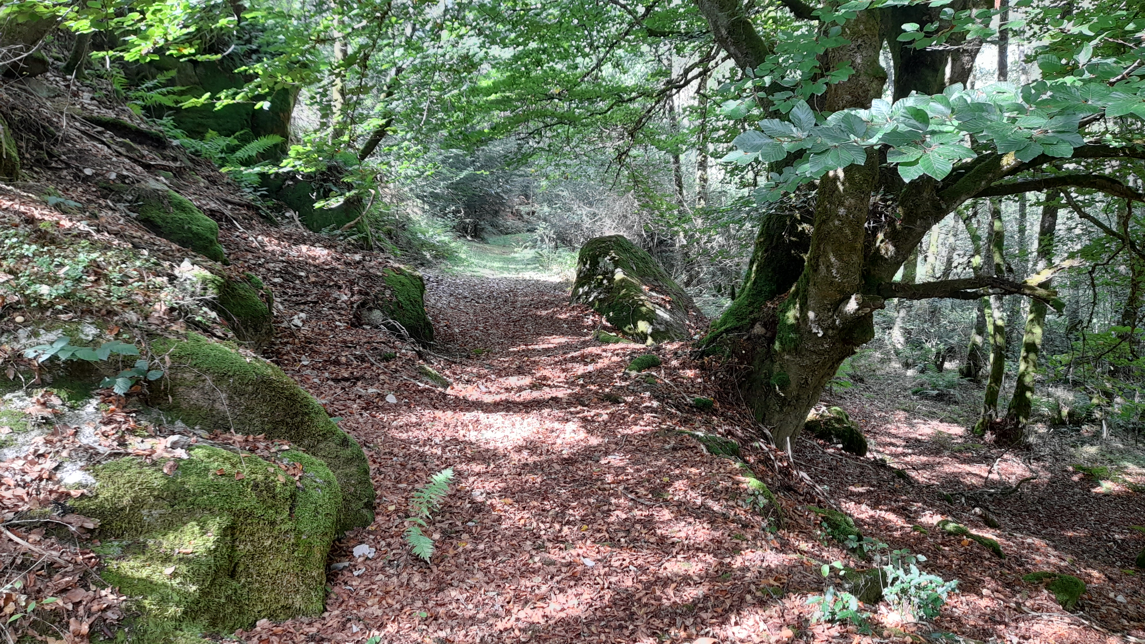 Sentier d'interprétation des pierres fades
