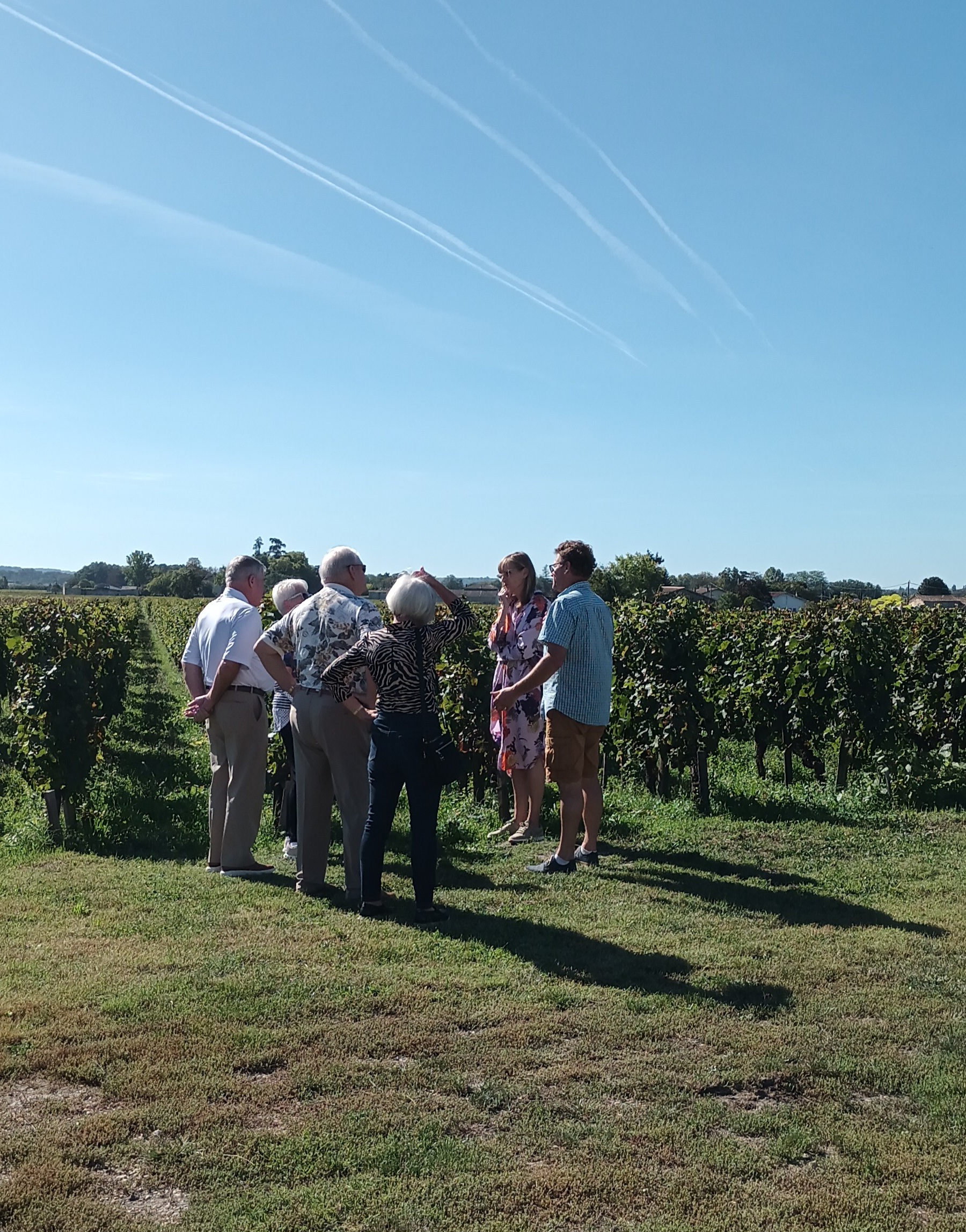 Château La Rose Monturon - photo 2