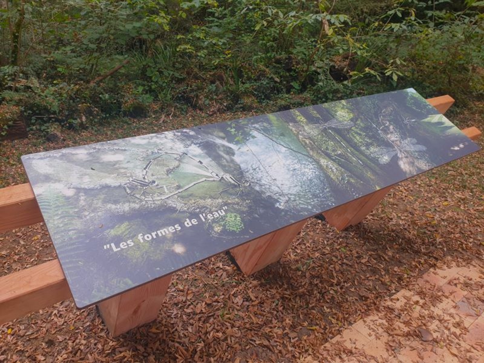 Domaine nature et de loisirs de Blasimon - photo 2