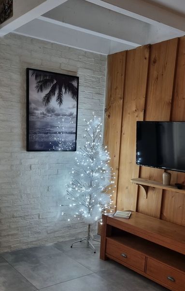 Une pause à la Hume, Gujan-Mestras - photo 10