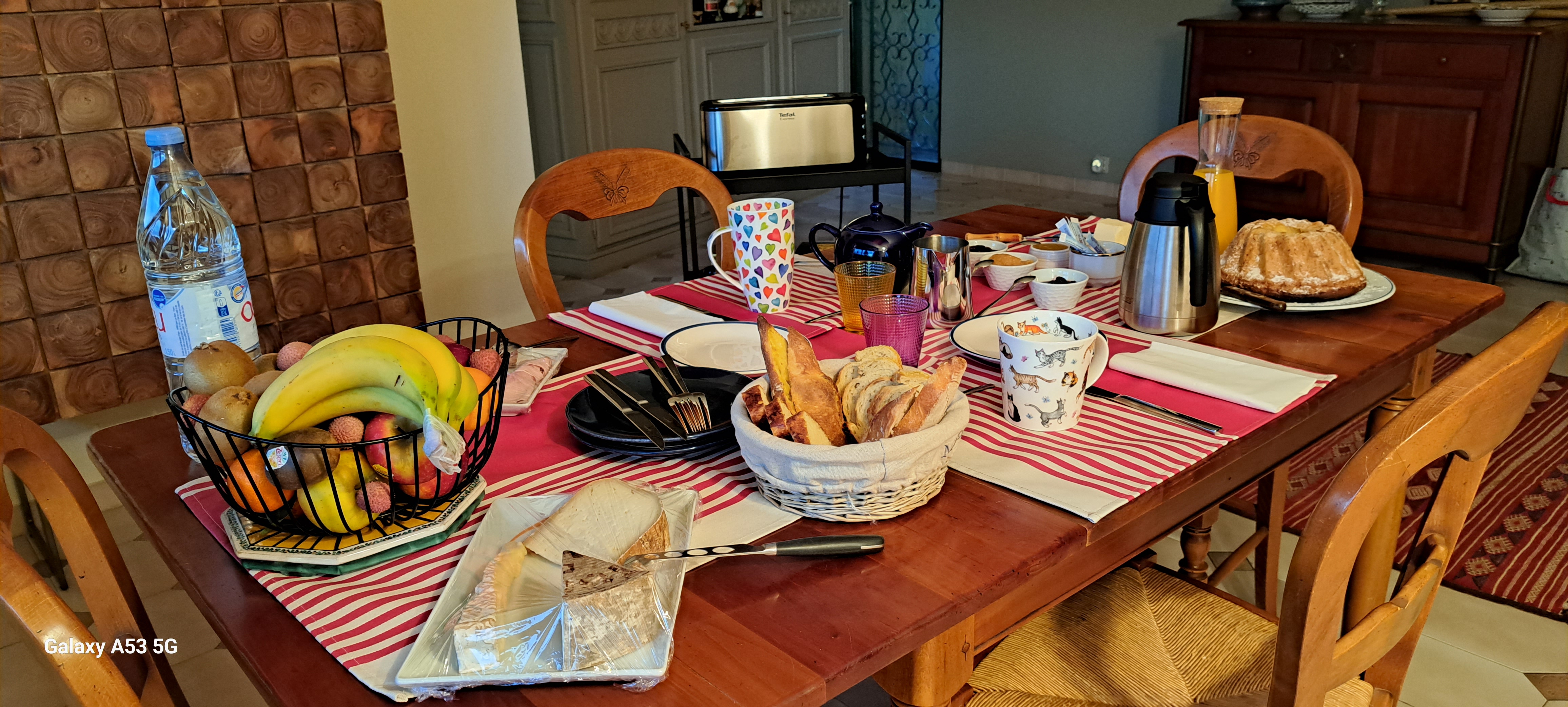 Jardin des Chats, Sévignacq-Meyracq - photo 2