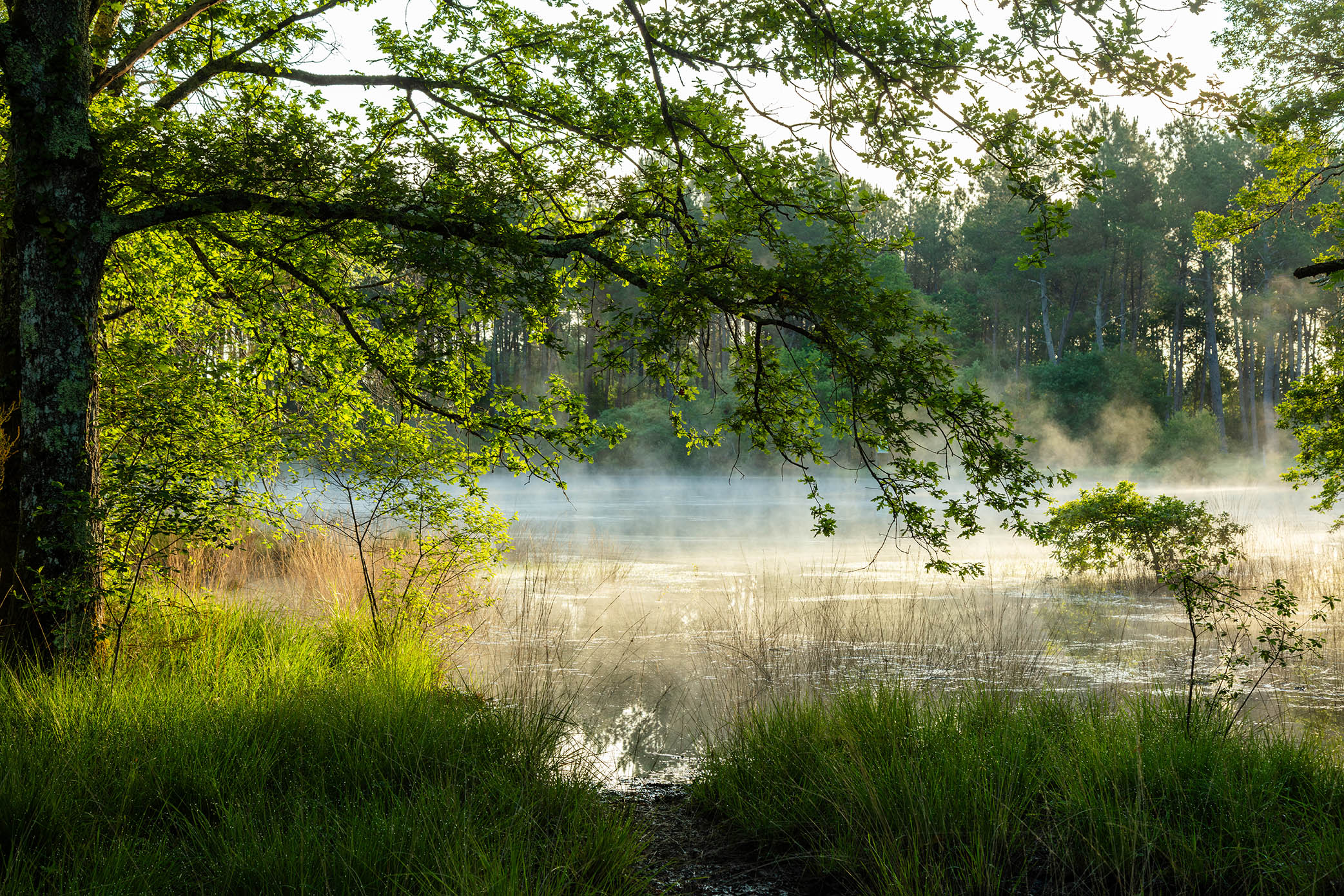 Lagunes de Nabias, Arue - photo 5