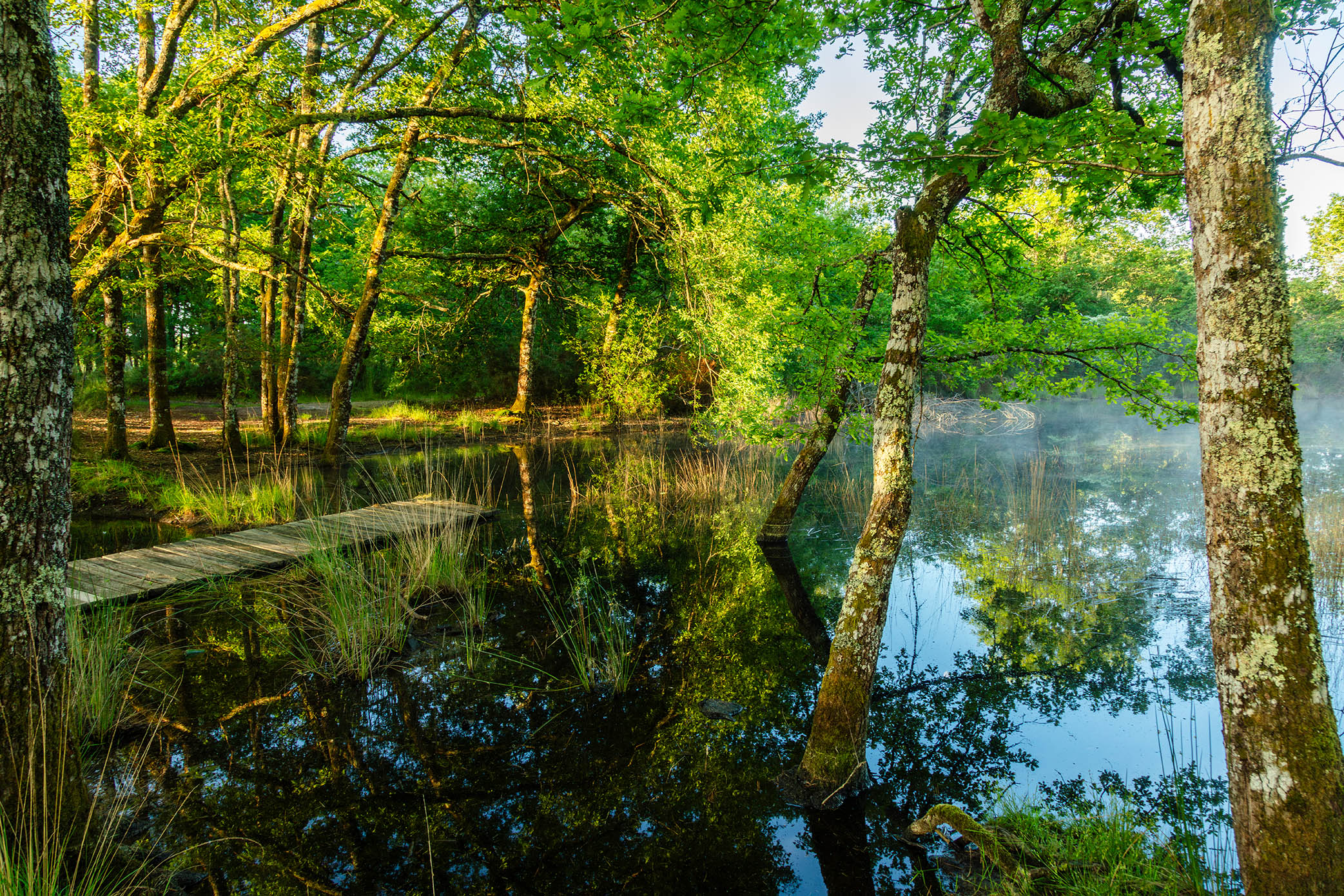 Lagunes de Nabias - photo 3