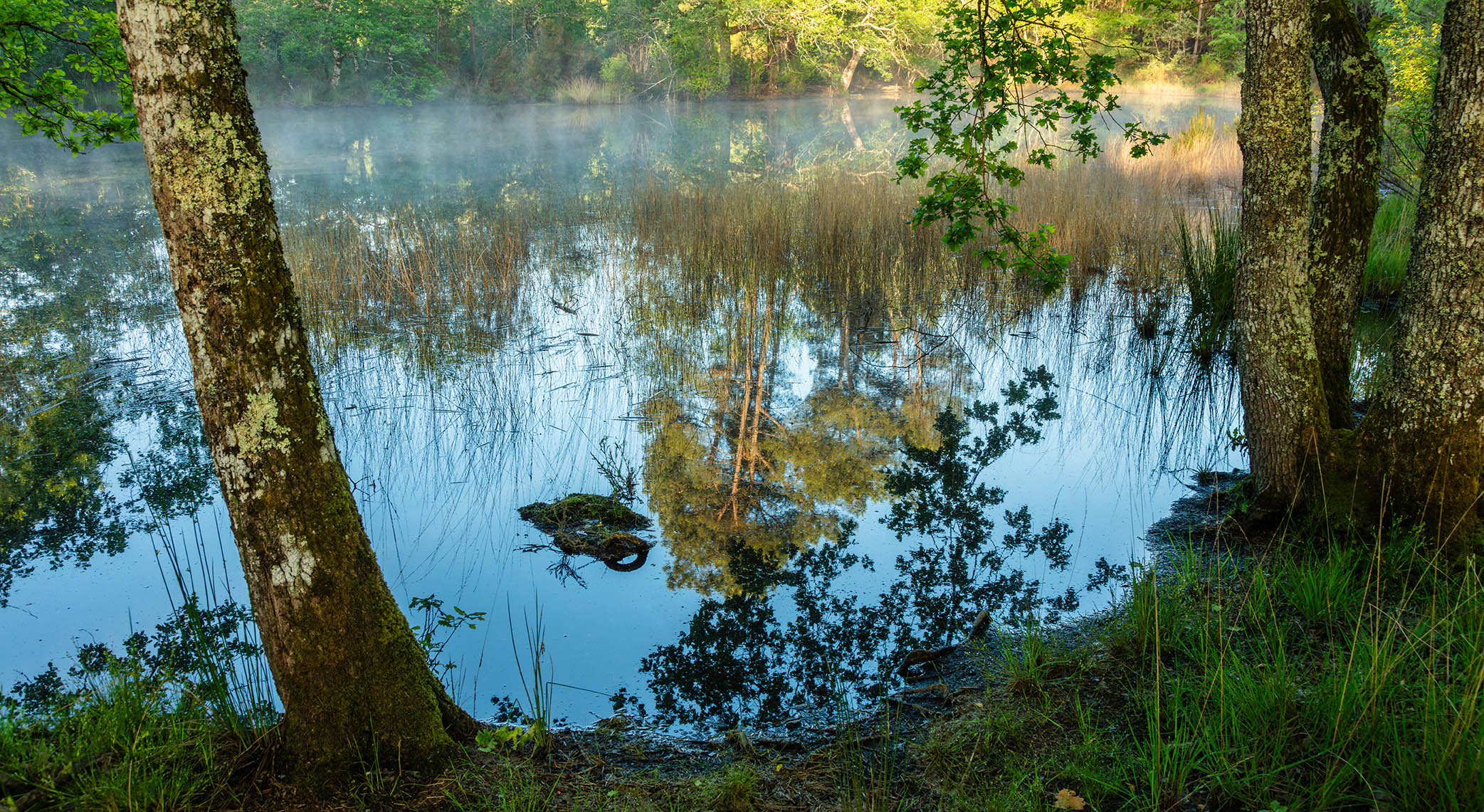 Lagunes de Nabias - photo 4