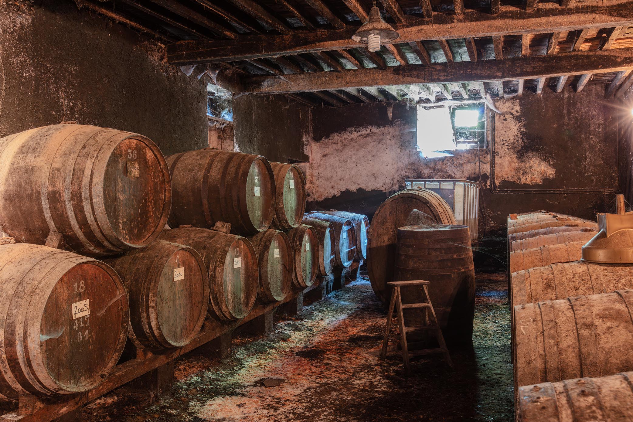 Le Château du Prada, Labastide-d'Armagnac - photo 10