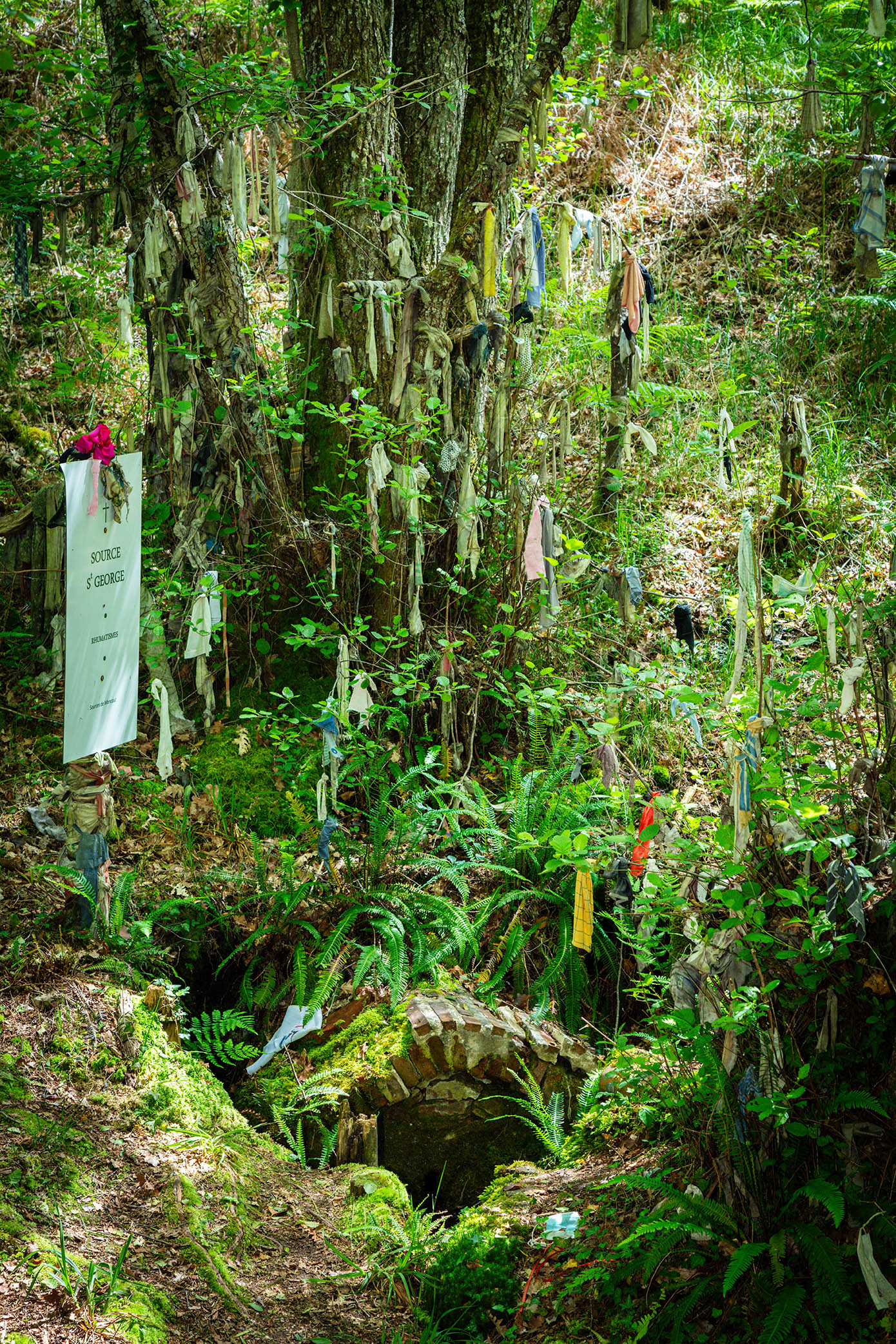 Sources de Moncaut, Losse