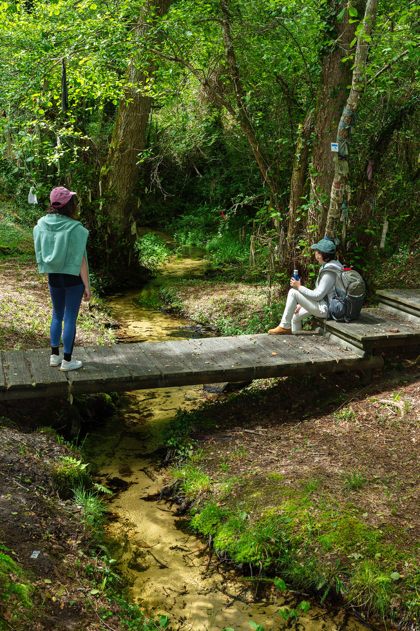 Sources de Moncaut, Losse - photo 2