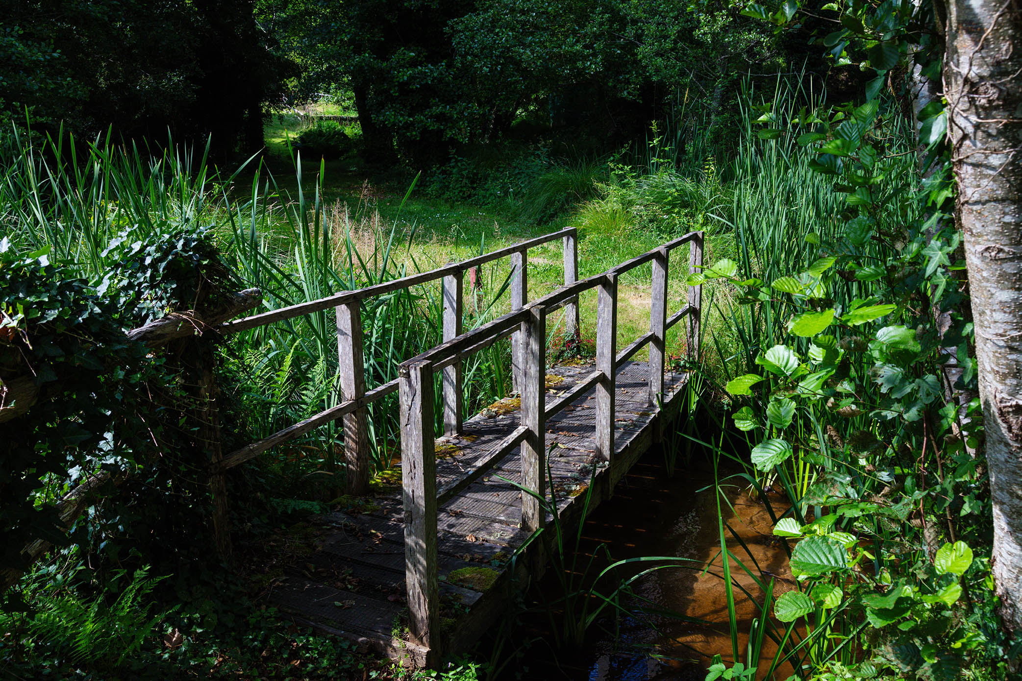 Etang classé de Sainte-Foy