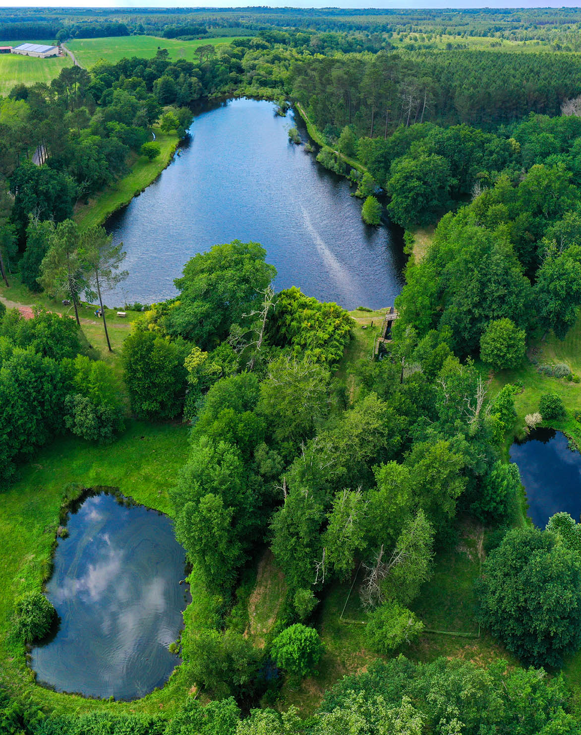 Etang classé de Sainte-Foy