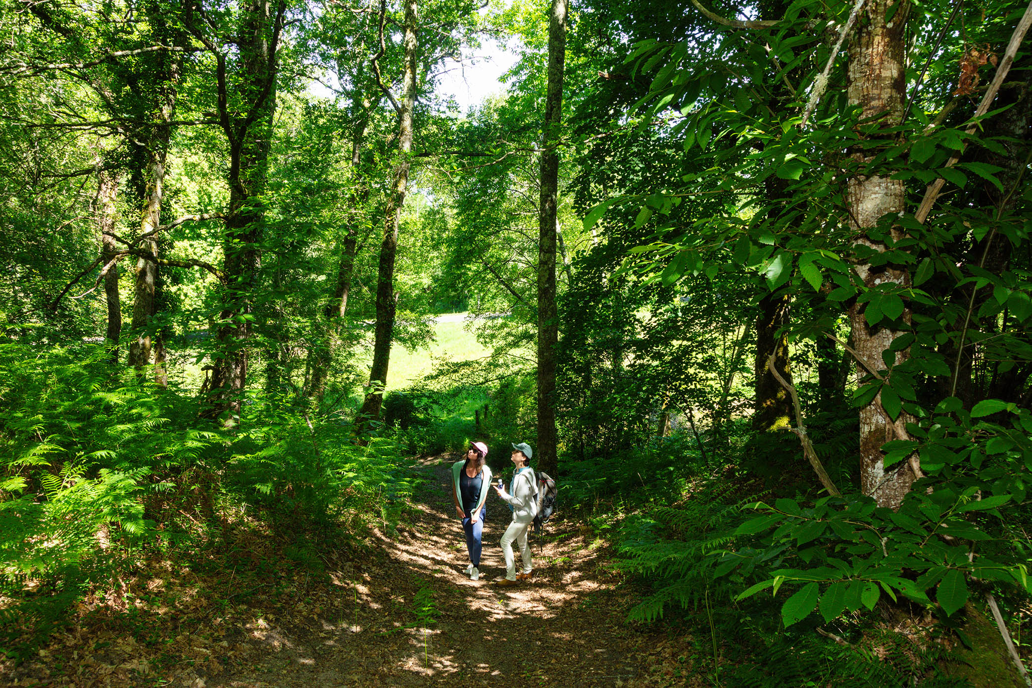 Arboretum, Vielle-Soubiran - photo 2