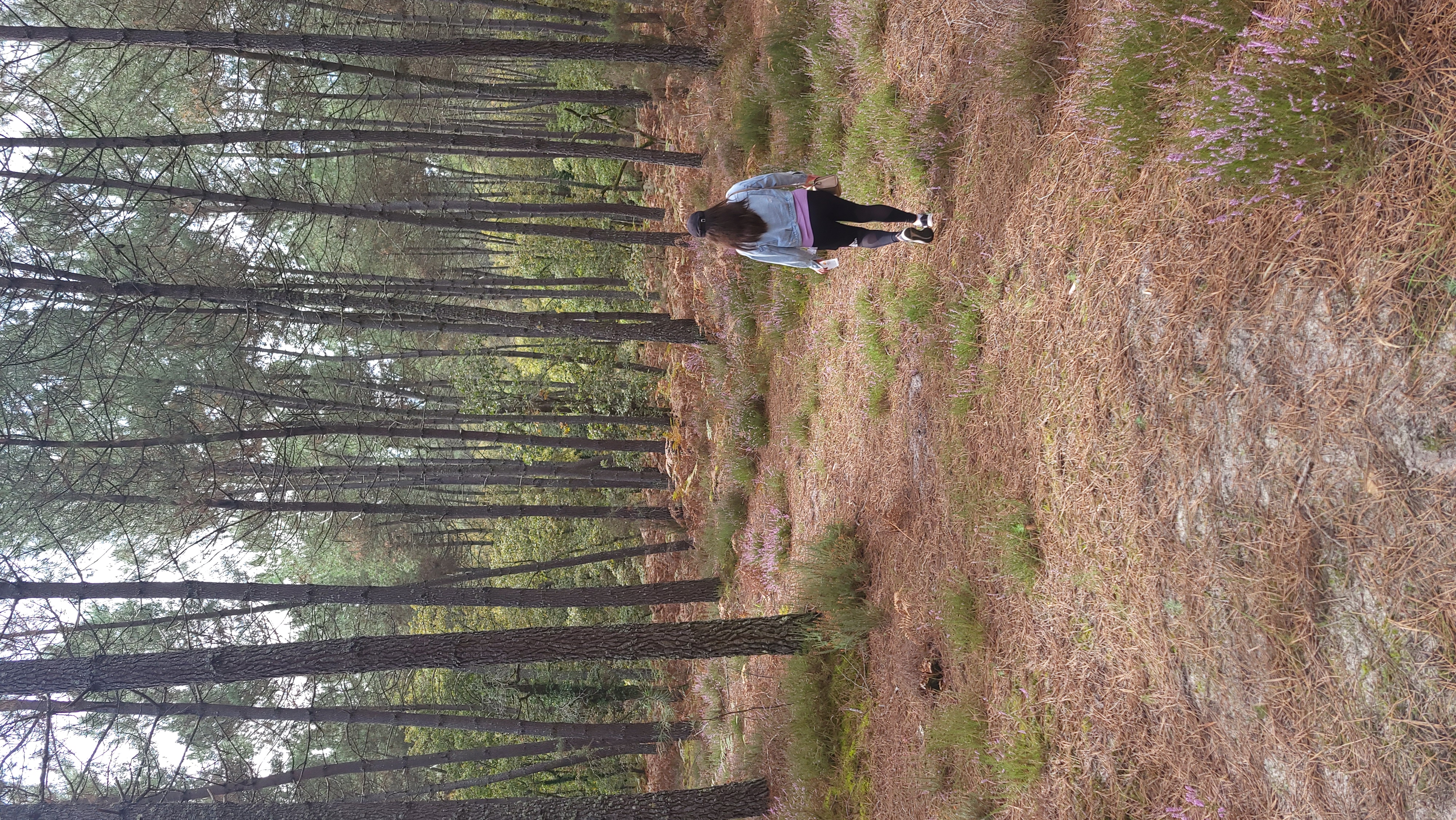 Luga'Trail, Vielle-Soubiran - photo 2
