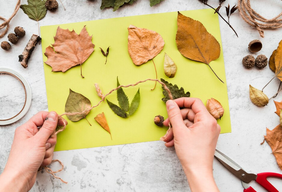 Fête de la nature — visuel événement