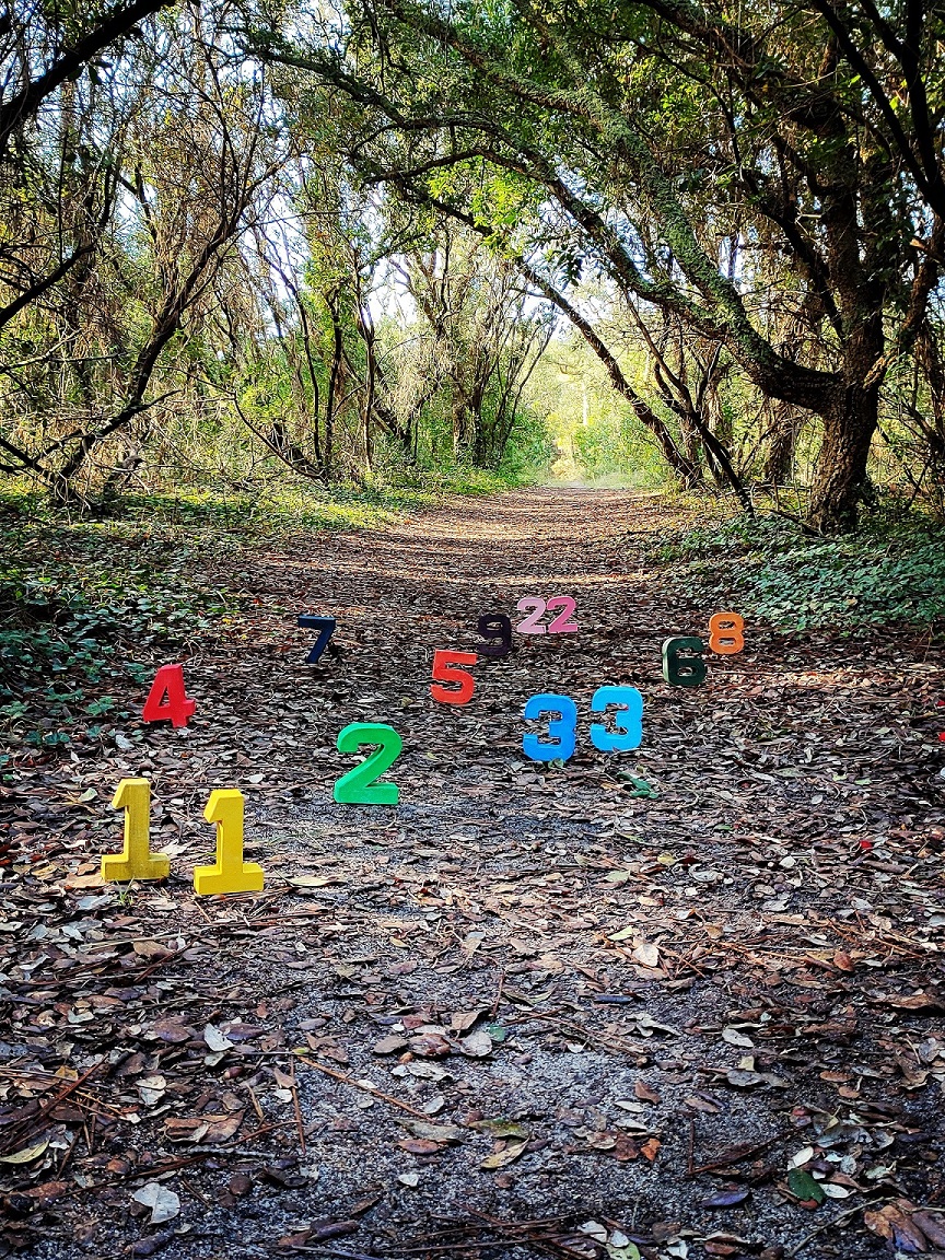 Le mouvement Et Si, Saint-Cricq-Chalosse - photo 5