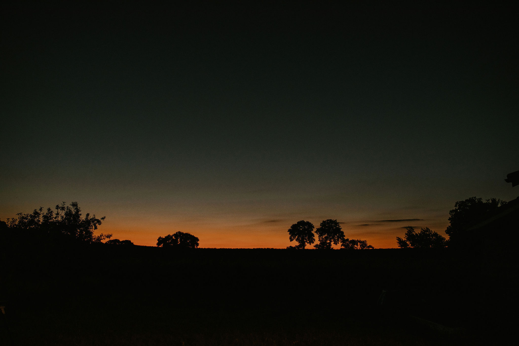 Hakuna Matata, Pécorade - photo 2