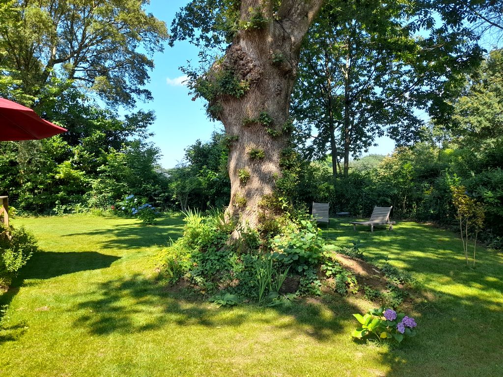 La Clairière du Seignanx, Saint-Martin-de-Seignanx - photo 4