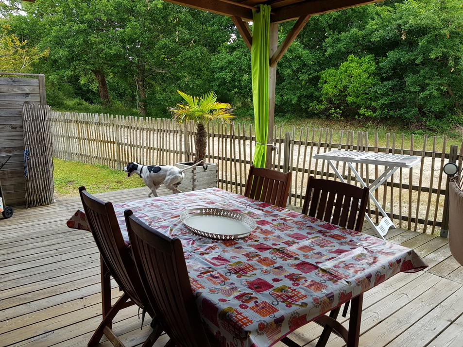 Dury Denhière Christelle - Le Chalet, Mimizan - photo 10