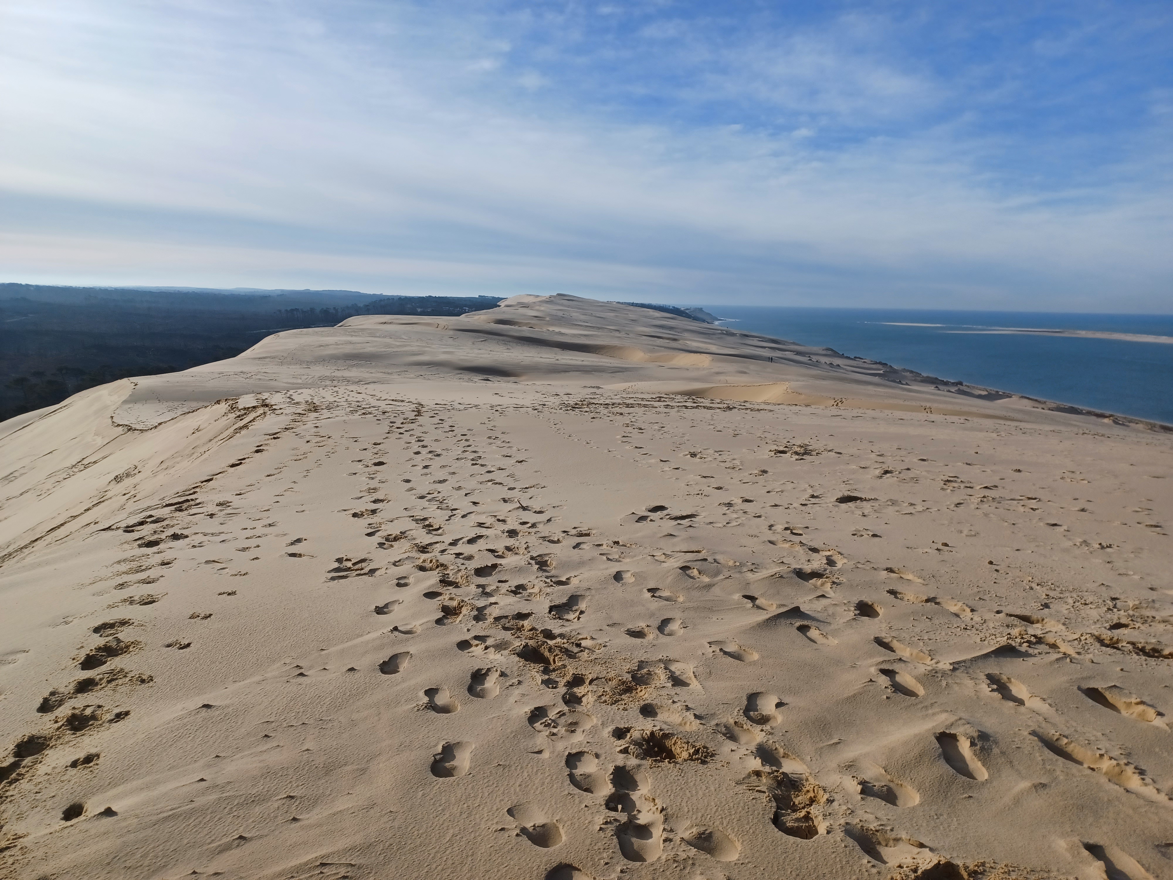 Visite Guidée à la dune du Pilat « 4000 ans d’histoire »