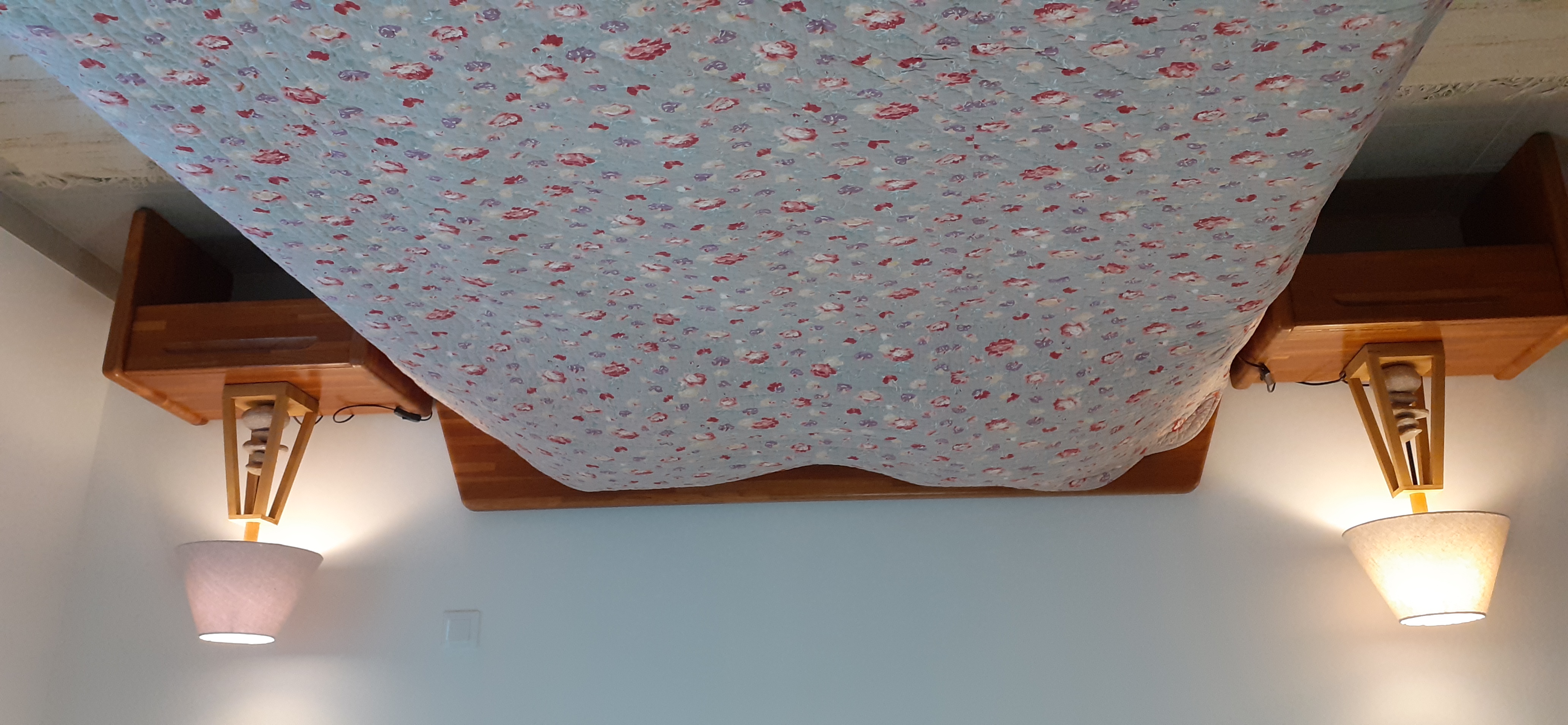 Les Crinières Flamboyantes, Marnay - photo 8