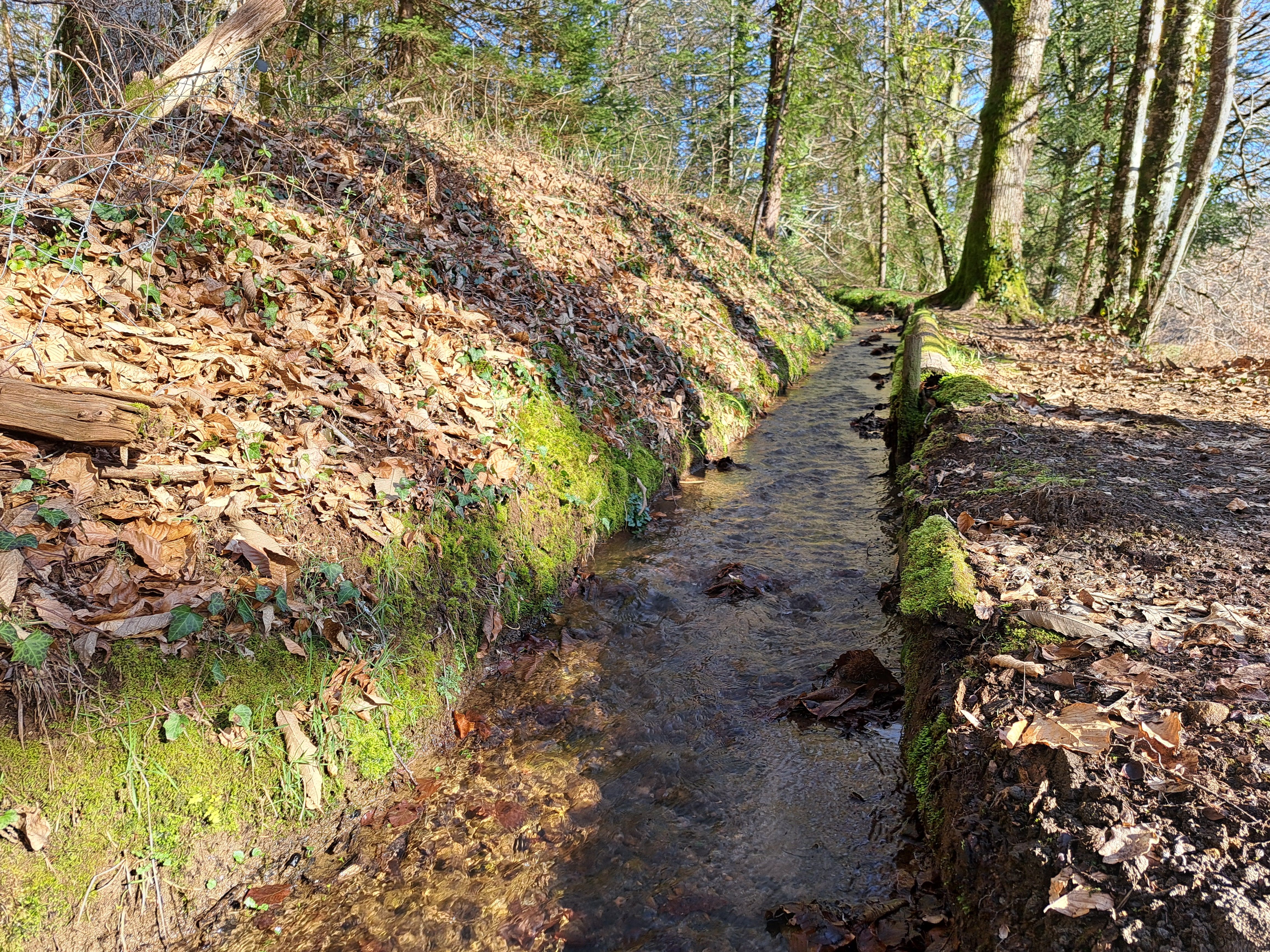 Autour de la Couade, Troche - photo 7