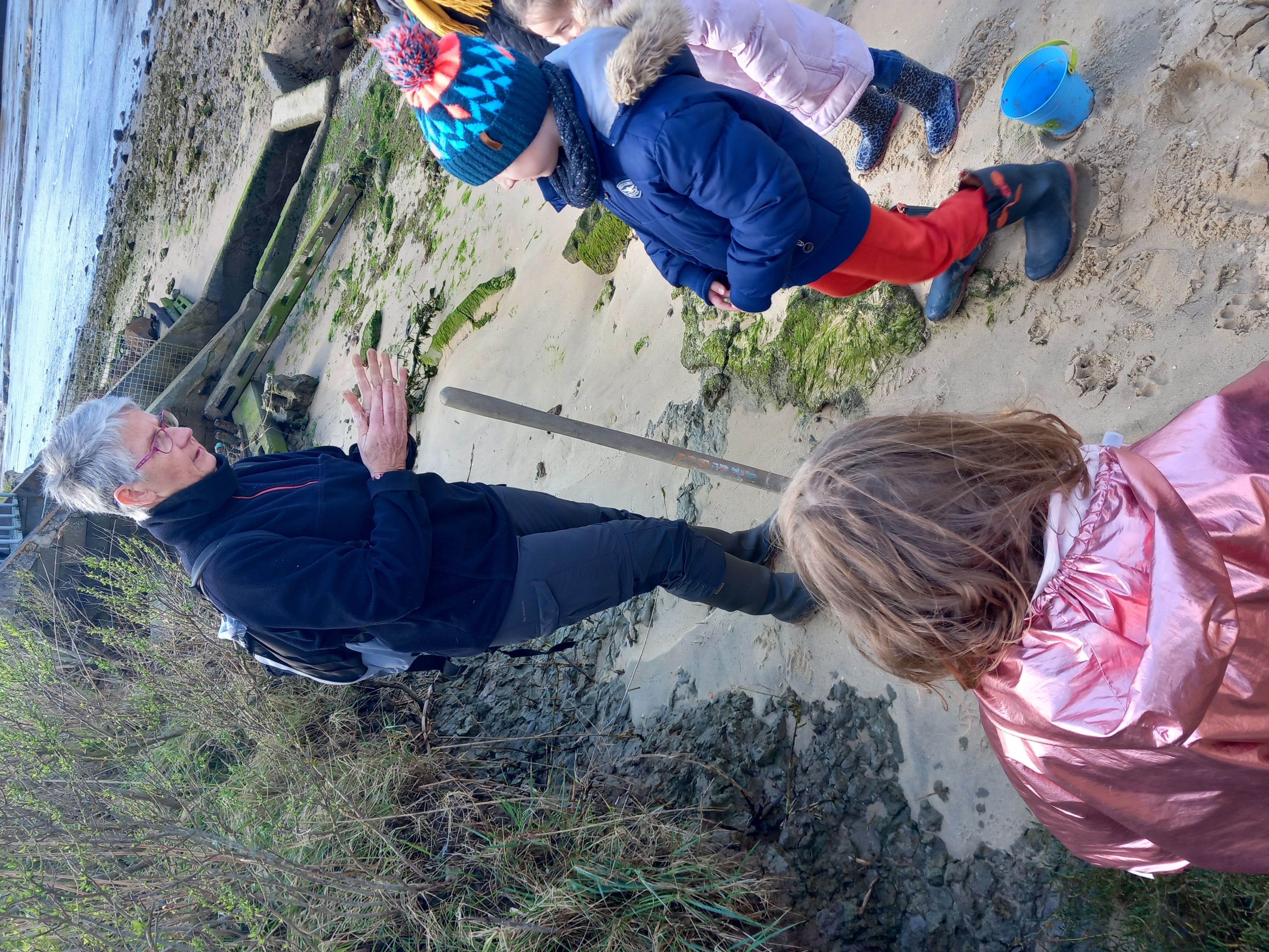 Observer les coquillages